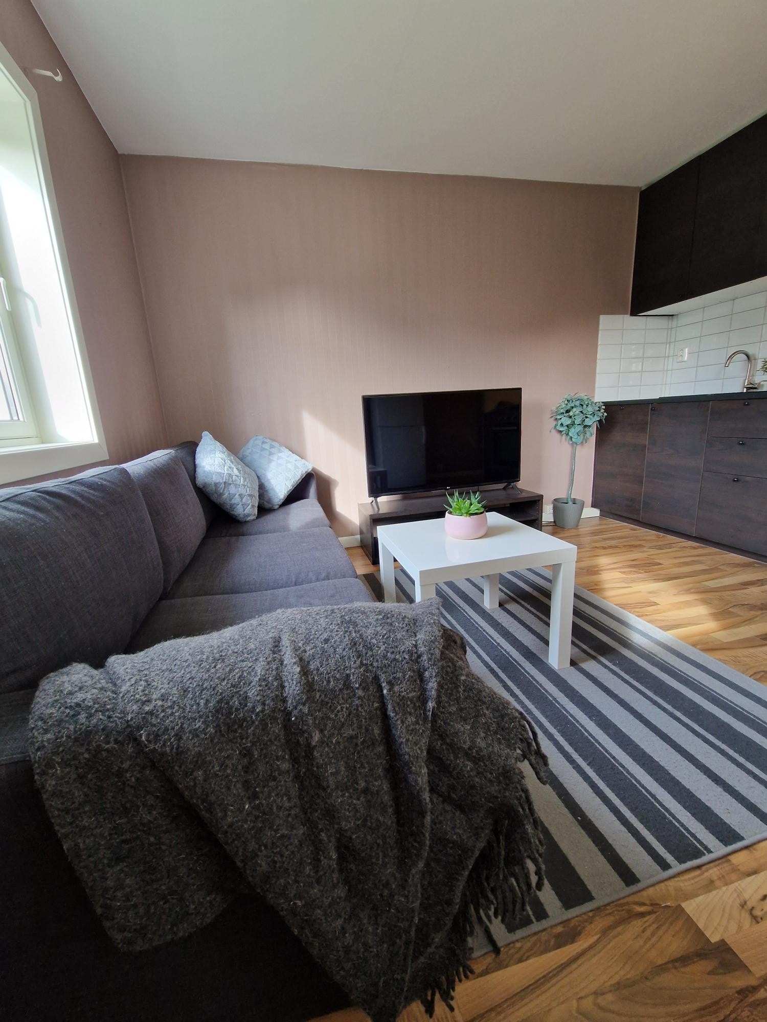 Sovesofa ikke inkludert Galleribilde