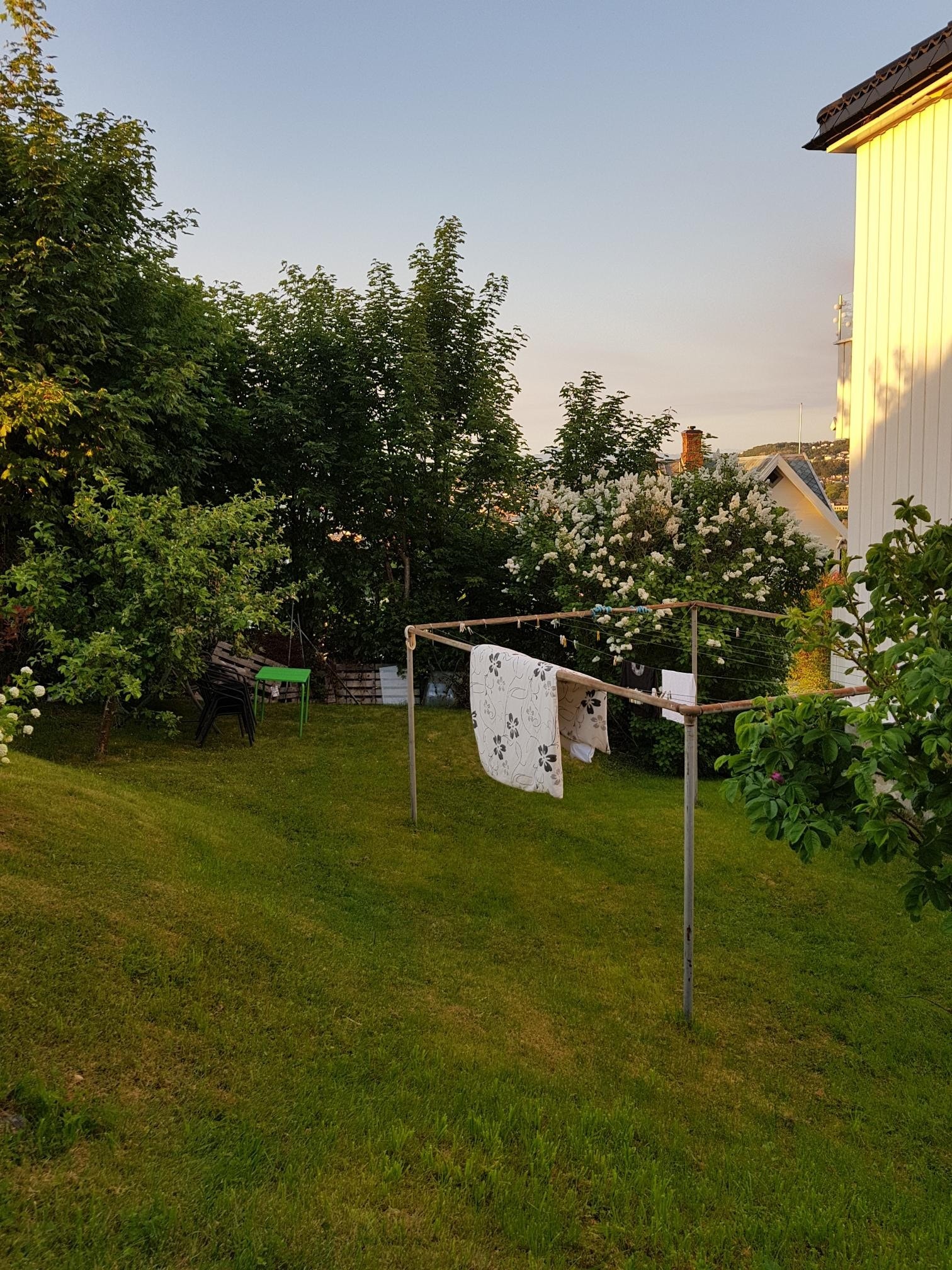 Uteområdet Galleribilde