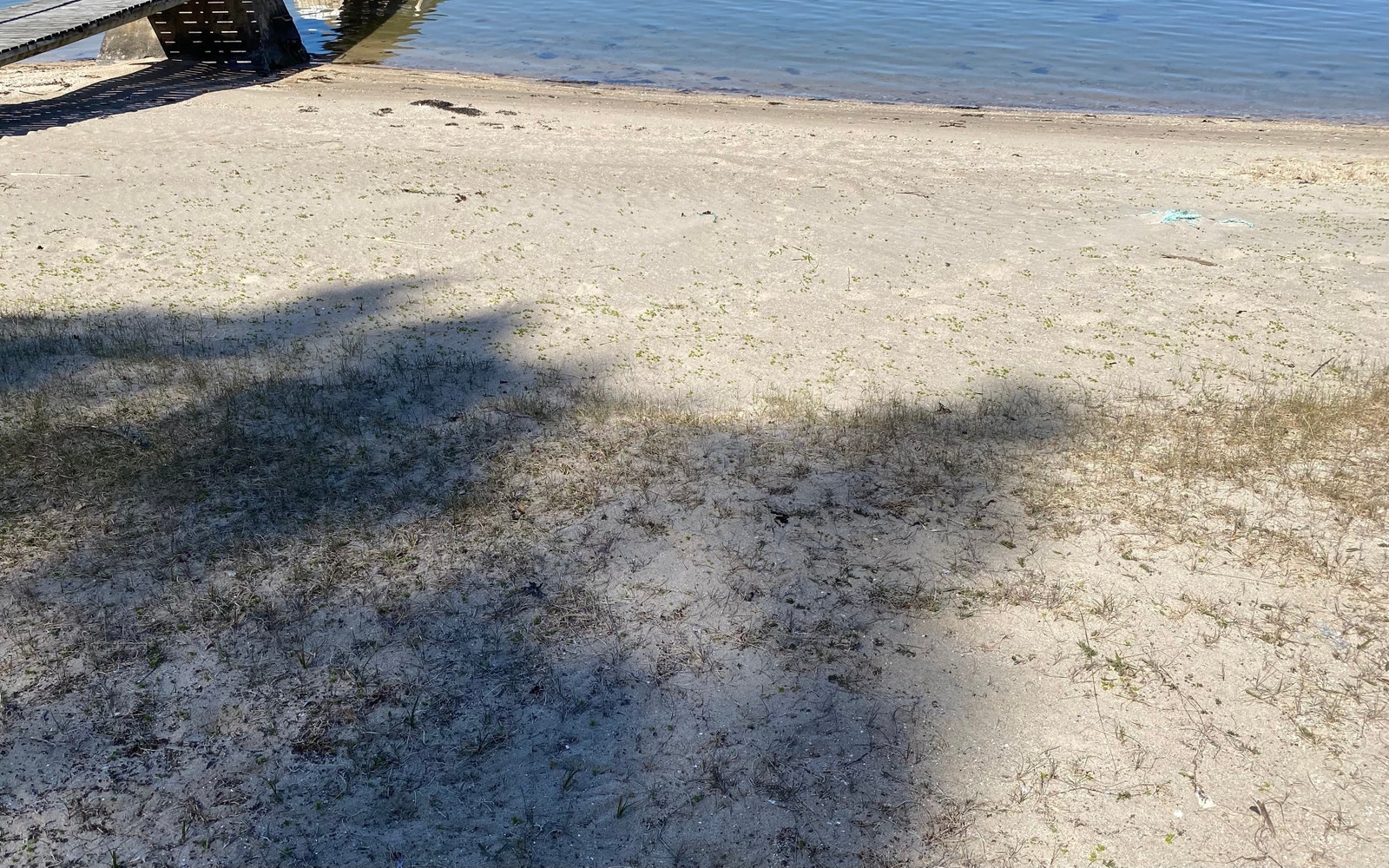 Flott privat sandstrand Galleribilde