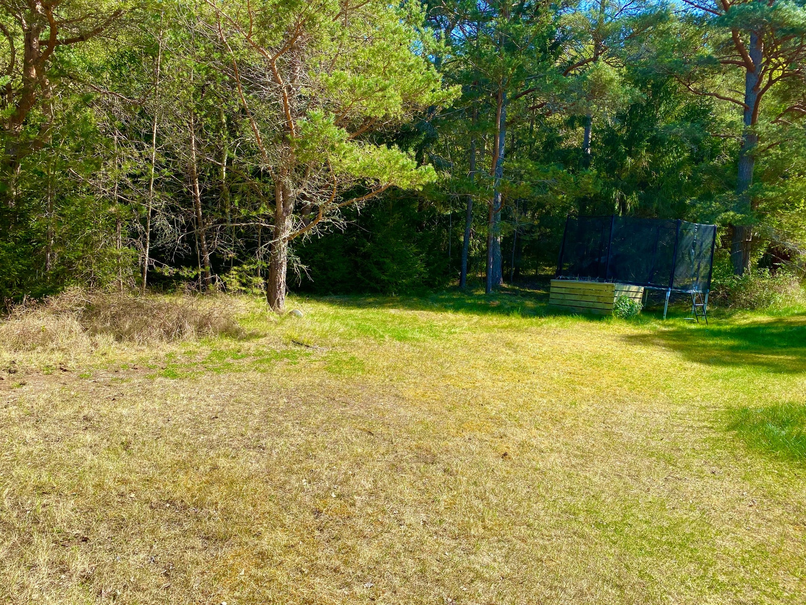 Stor plen som innbyr til lek med trampoline i bakgrunnen Galleribilde
