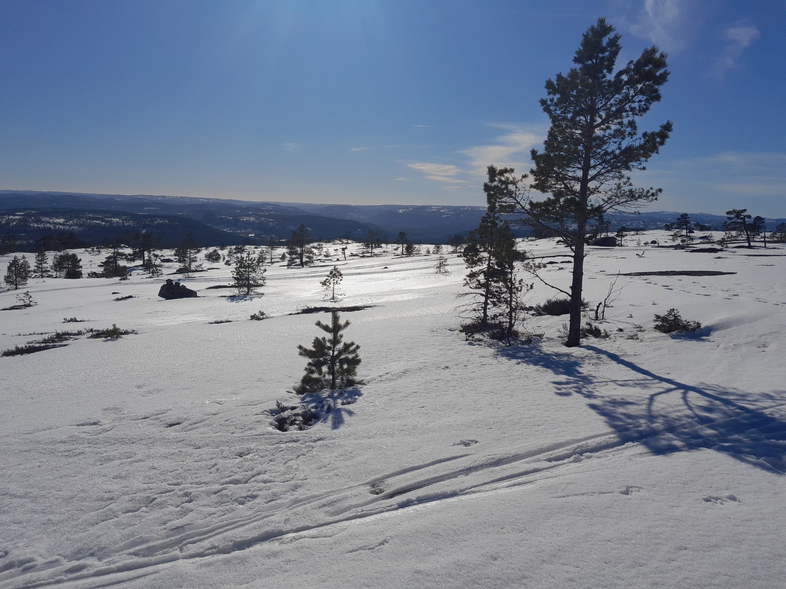 Havrefjell Galleribilde