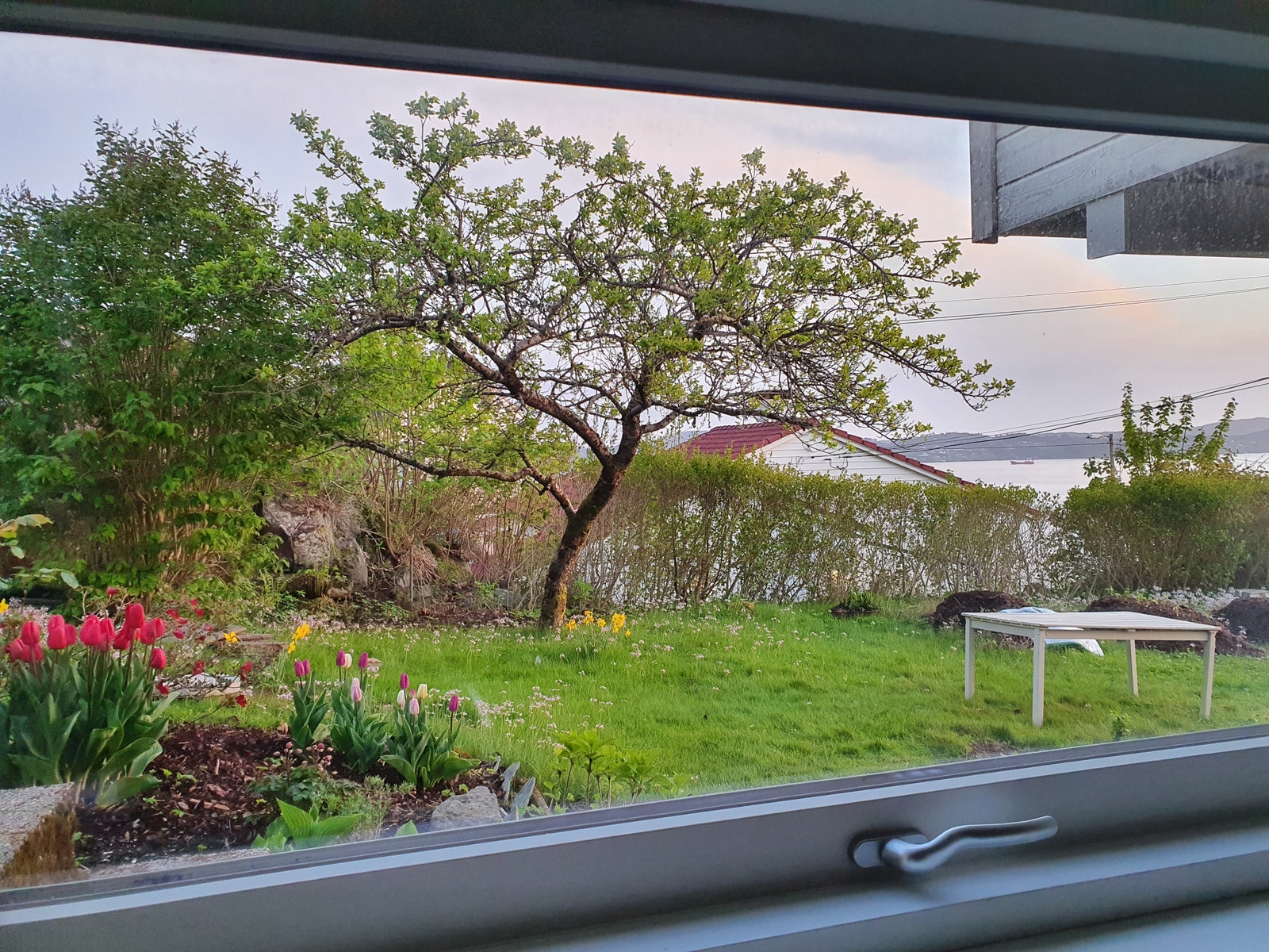 Utsikt fra kjøkkenvinduet. Galleribilde