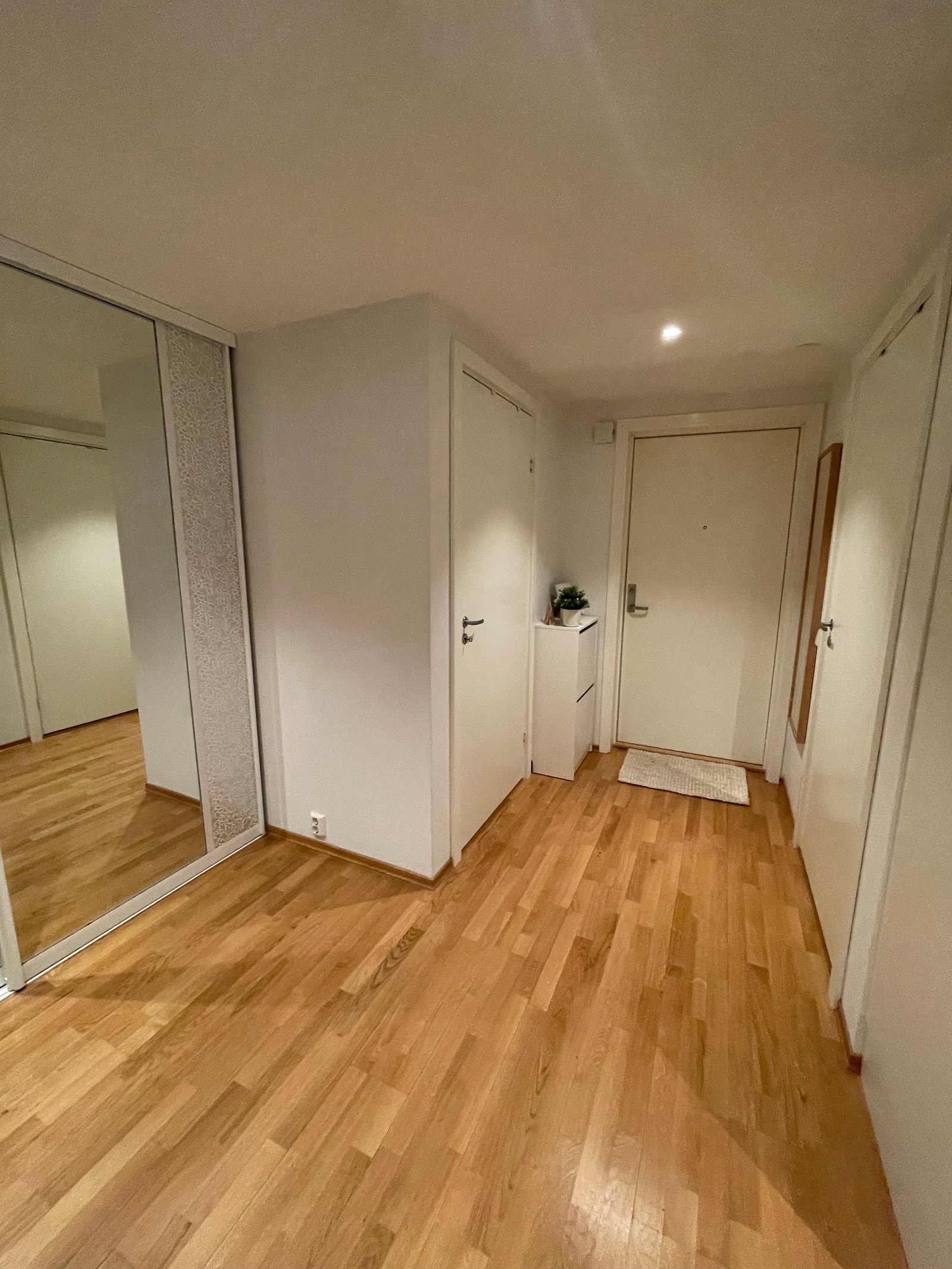 Romslig gang. Galleribilde