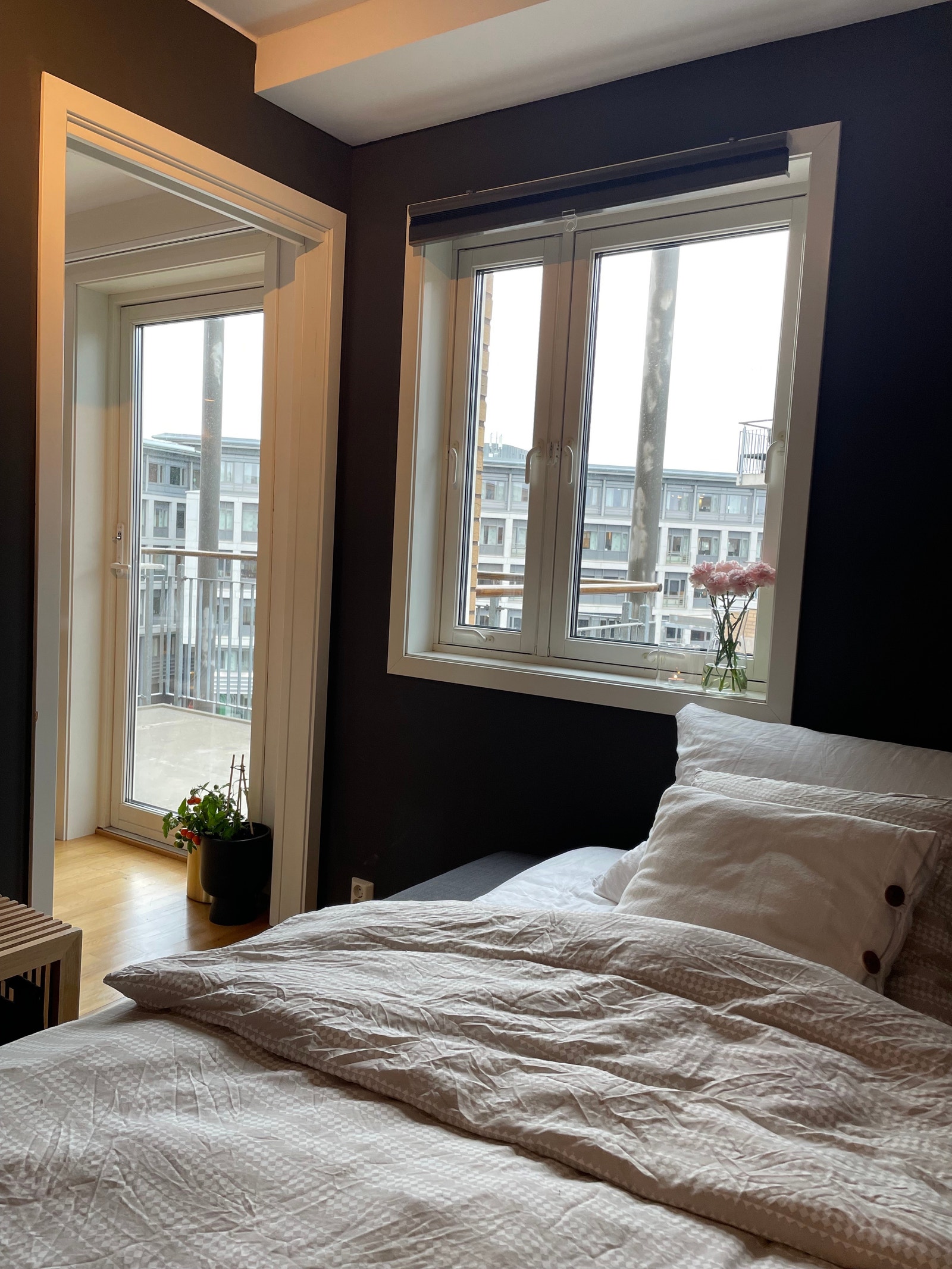 Utsikt mot veranda fra gjesteseng/sovesofa. Galleribilde