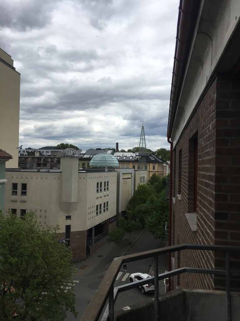 Nordlig retning; ca 300 meter til botanisk hage. Galleribilde