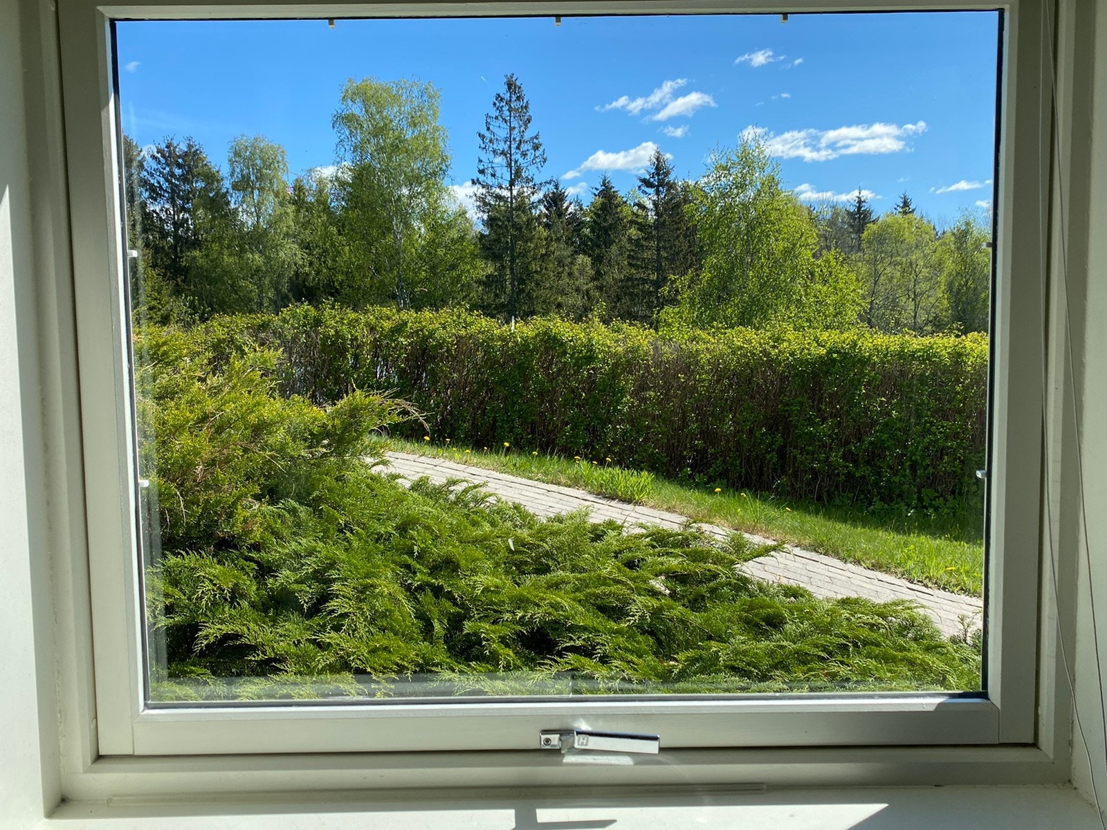 Utsikt fra stuen Galleribilde