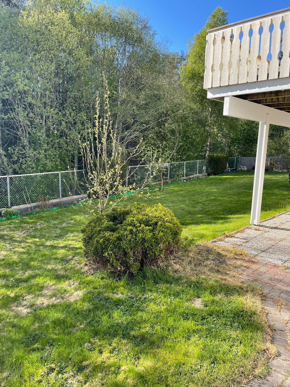 Ingen innsyn til leiligheten Galleribilde