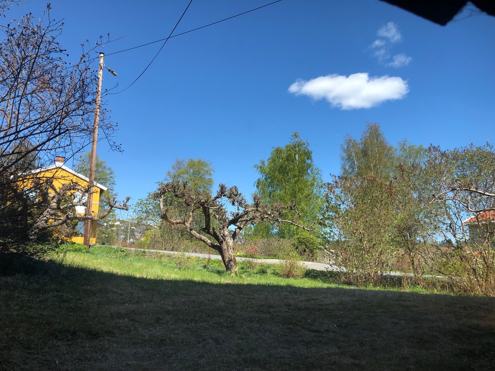 Utsikt fra kjøkkenet. Galleribilde