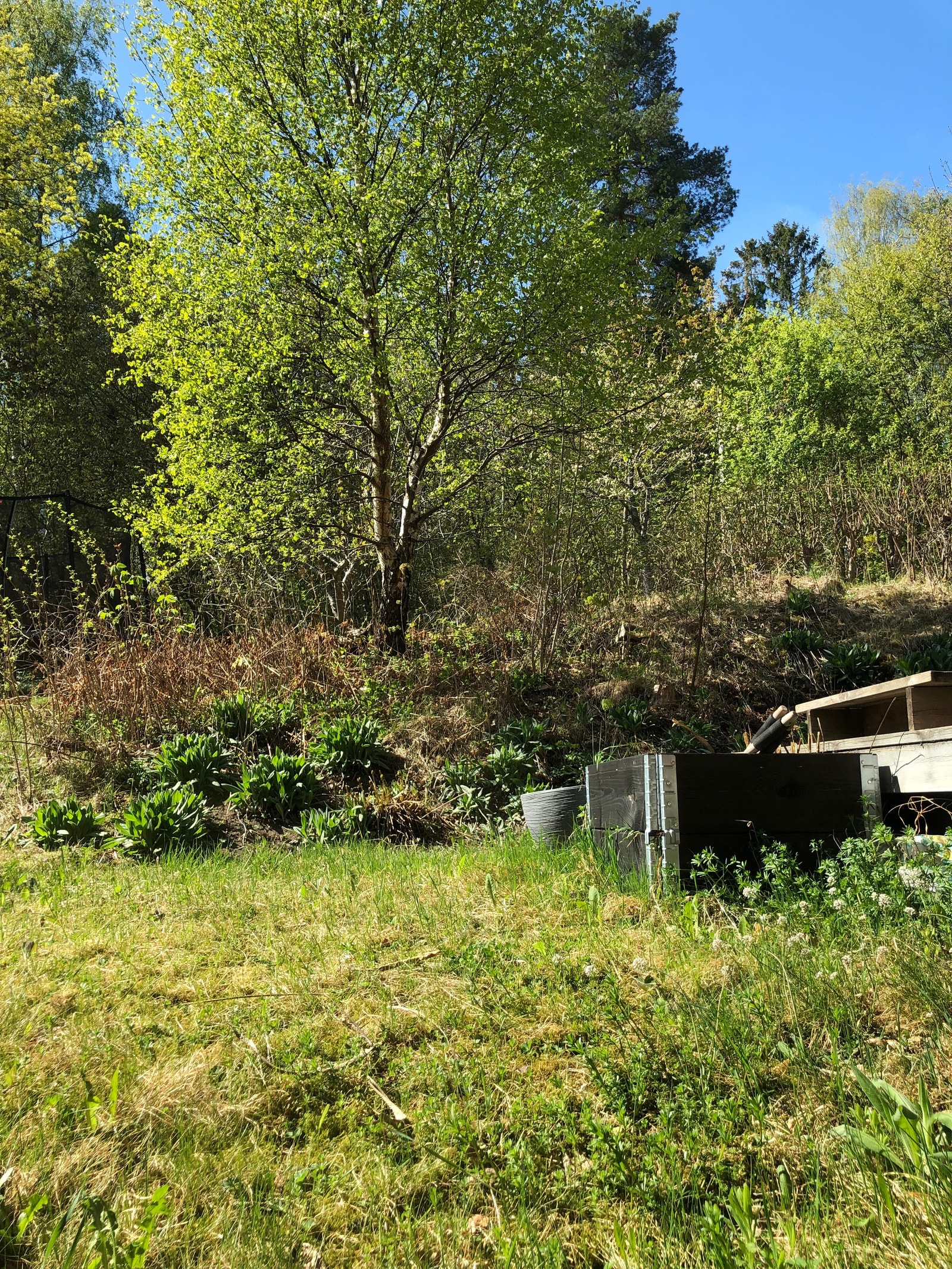 Utsikt fra stua. Galleribilde