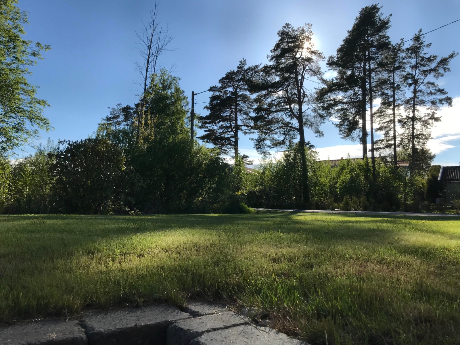 Utsikt fra stue Galleribilde