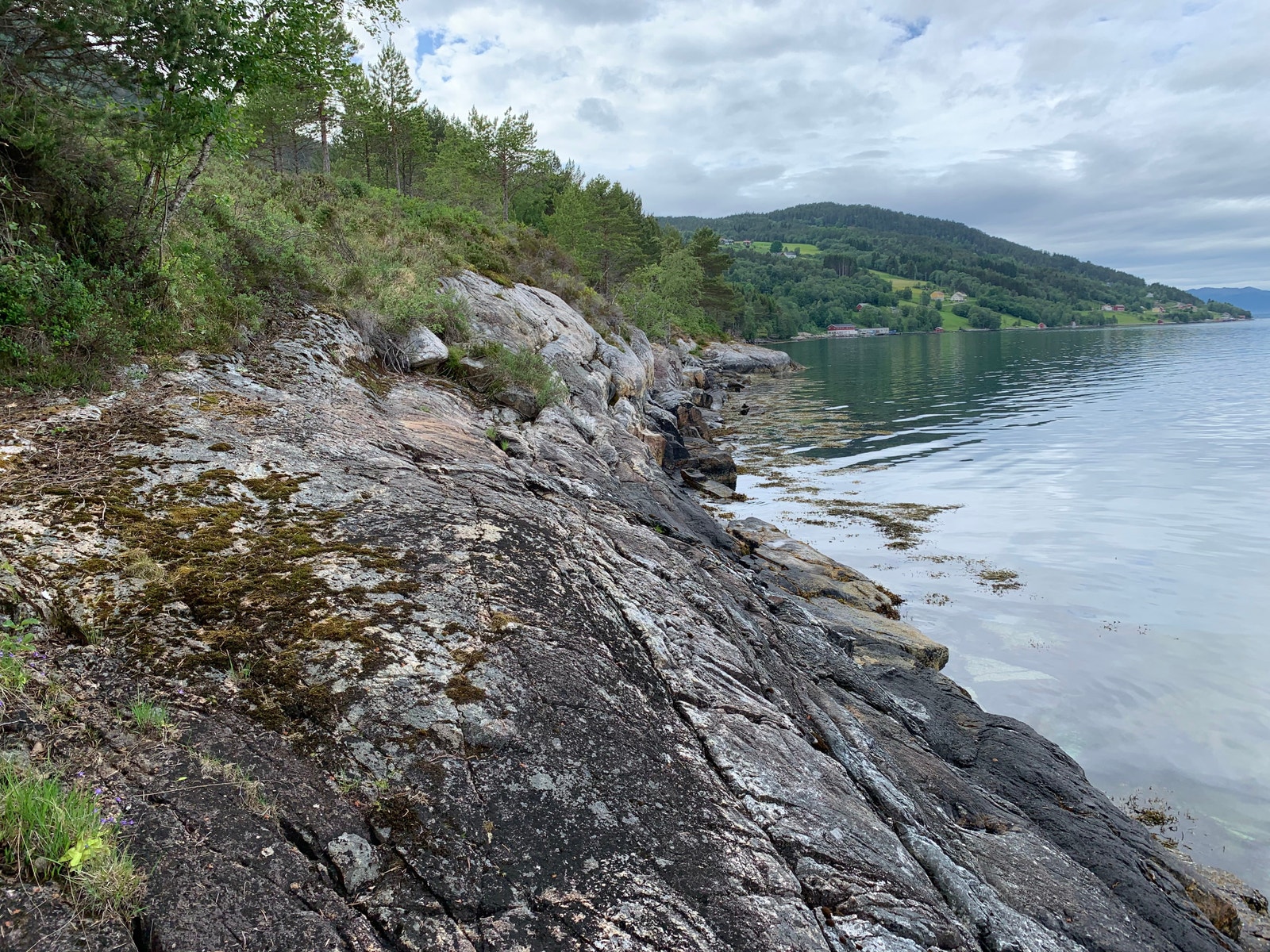 Svaberg fint for å stupe i sjøen eller til å fiske fra Galleribilde