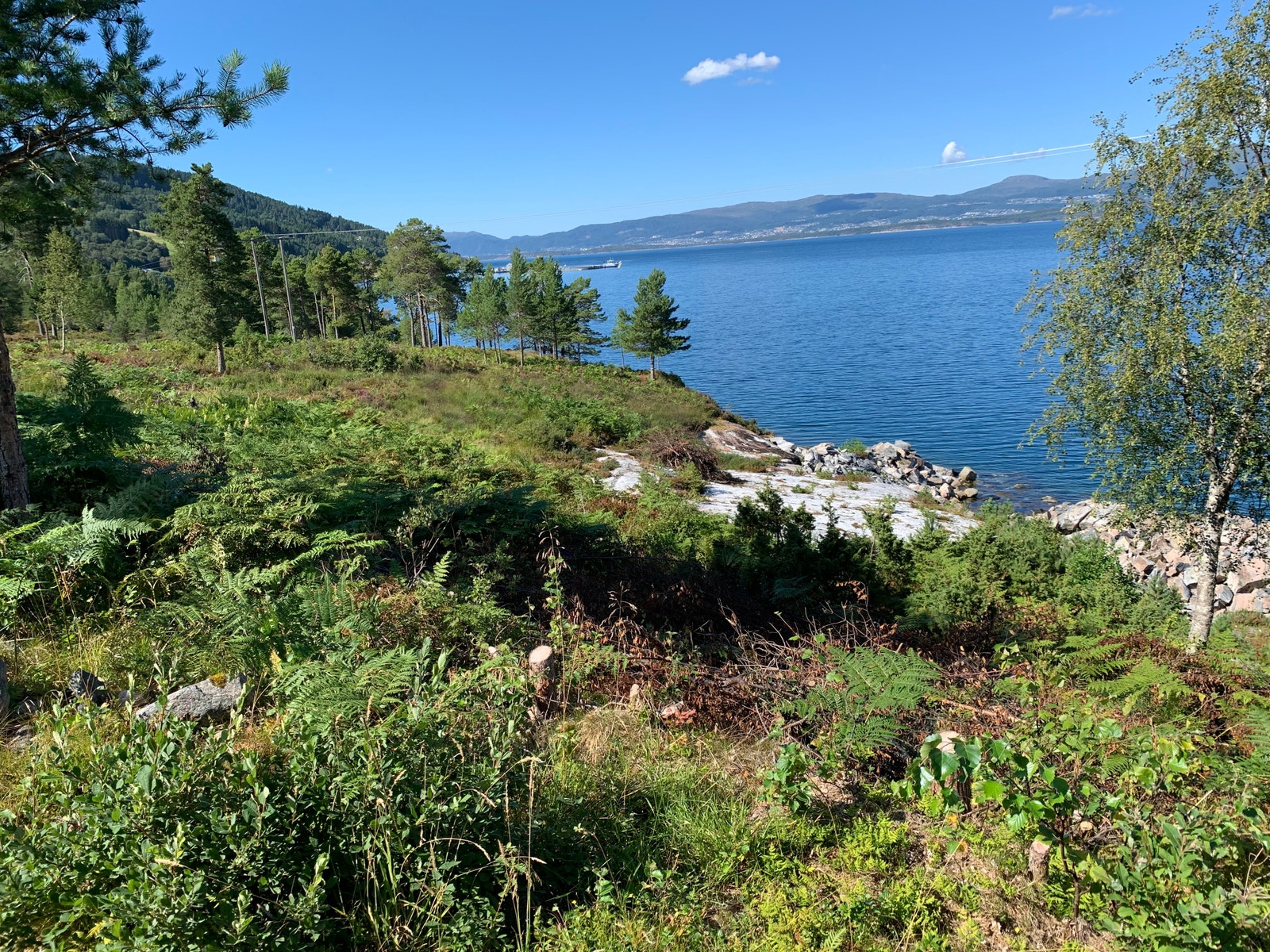 Utsikt fra hovedplatå over havn - fremtidig friområde Galleribilde