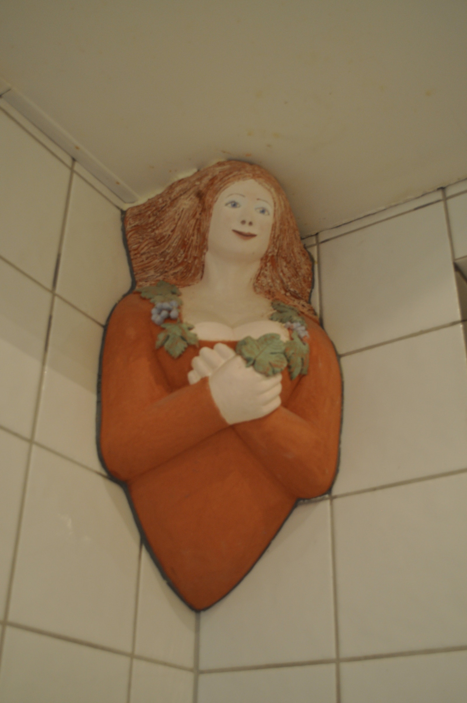 Sangviniker Galleribilde