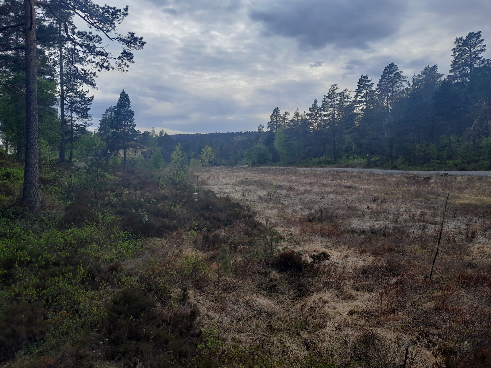 Bilde fra hyttefeltet Galleribilde