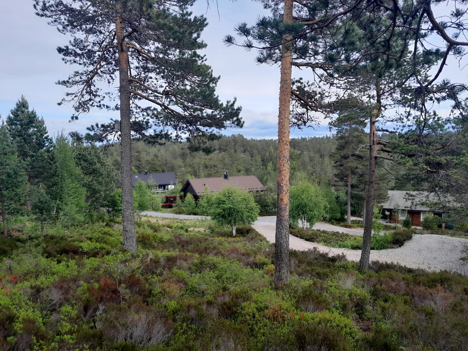 bilde fra hyttefeltet Galleribilde