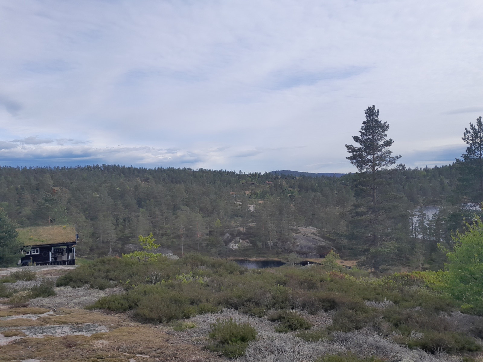 bilde fra hyttefeltet Galleribilde