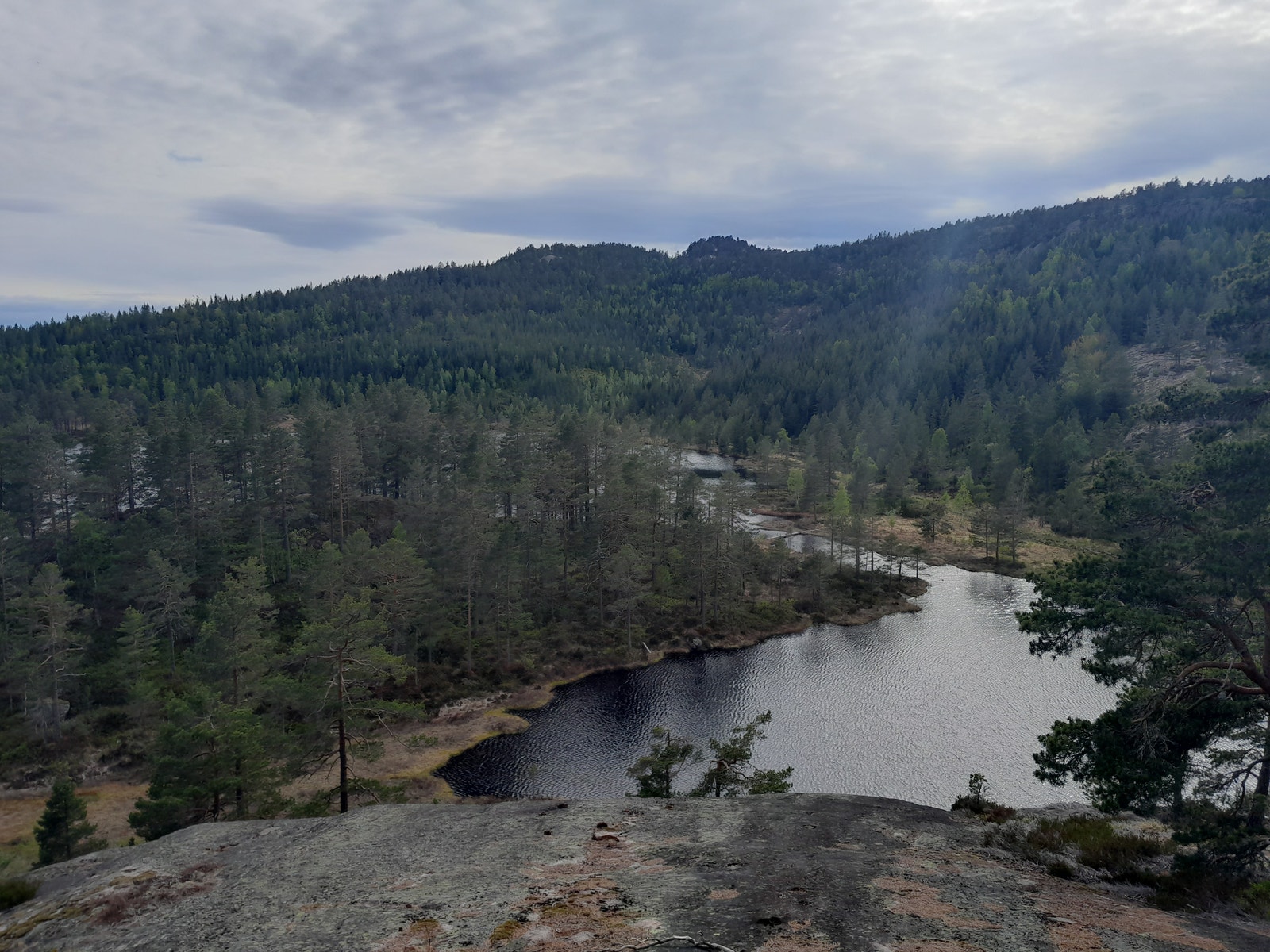 bilde fra hyttefeltet. Galleribilde