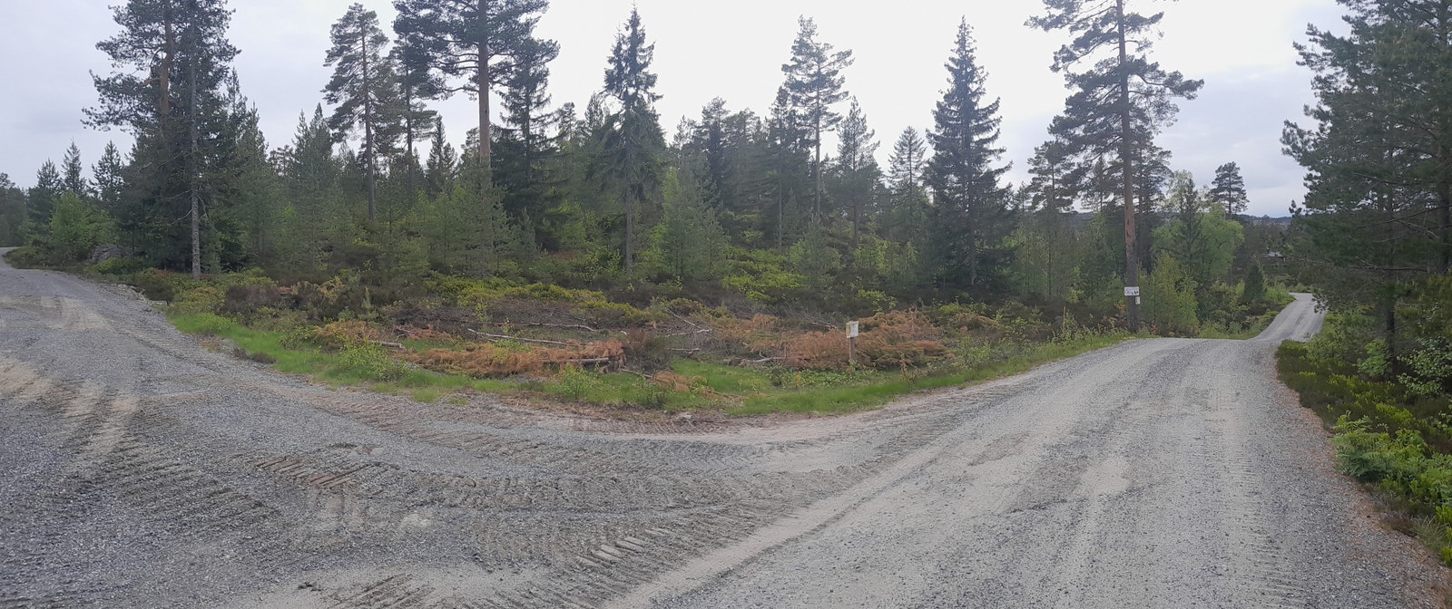 Her ligger det flere fine tomter bortover med meget gode solforhold. Galleribilde