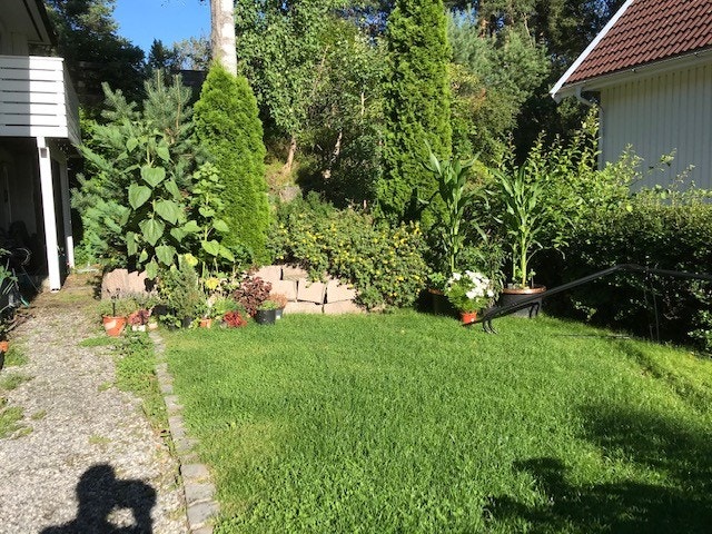Hage Galleribilde