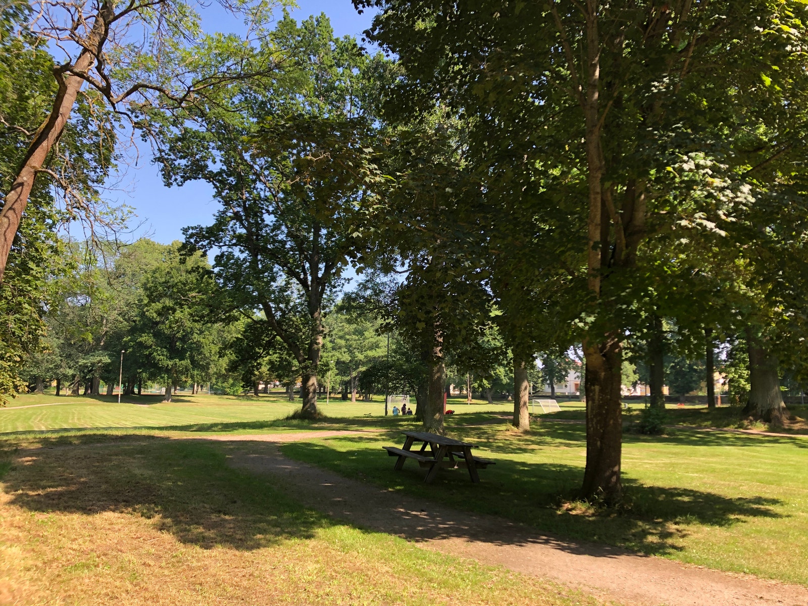 Mye park og grønt områder for kos og diverse sport Galleribilde