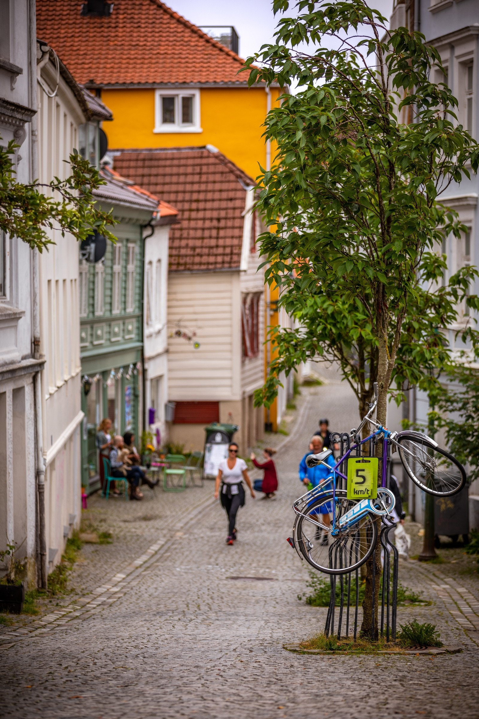 - Steinkjellergaten - Galleribilde