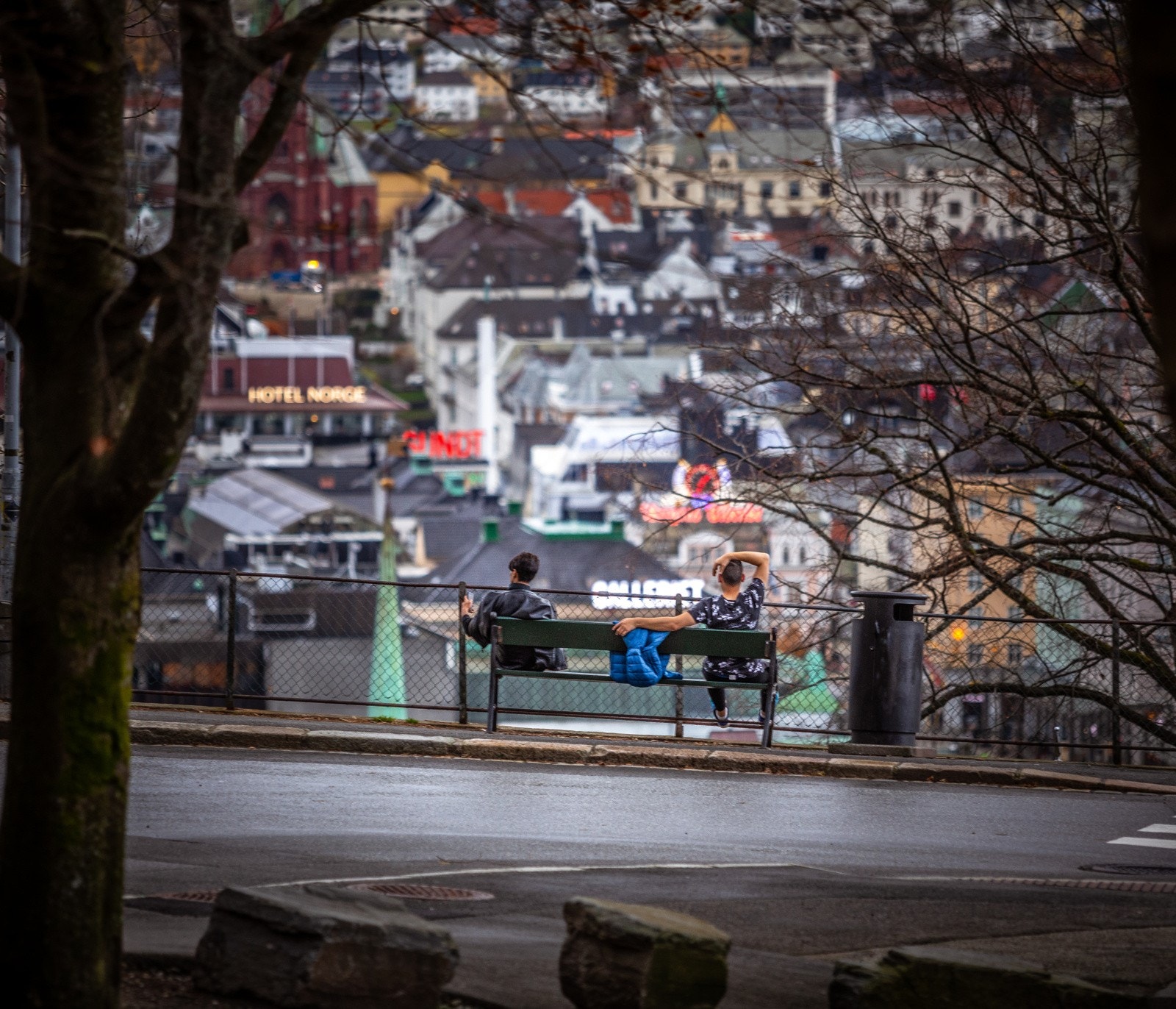 - Nærområdet - Galleribilde