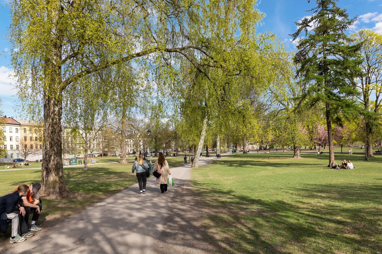 Her kan solrike dager nytes! Galleribilde