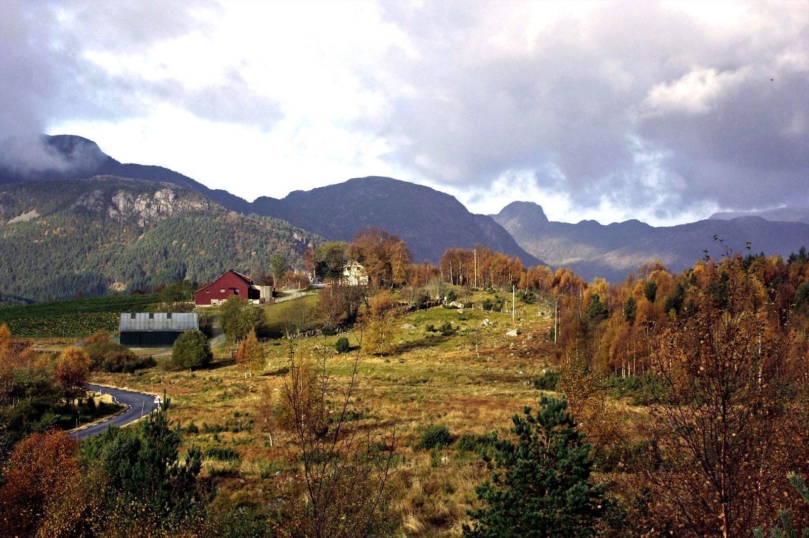 Fjellgarden Leite Galleribilde