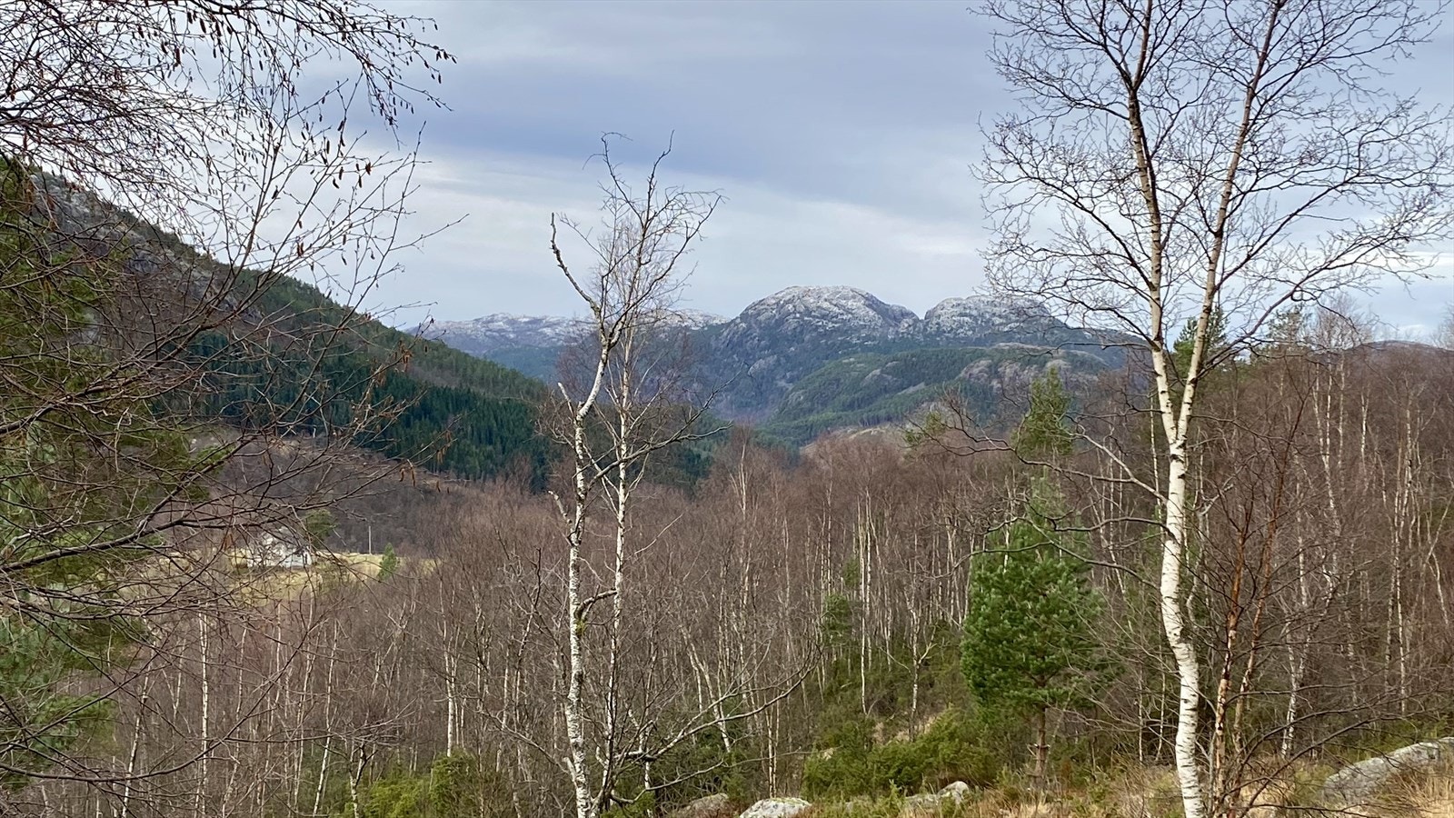 Utsikt fra tomt 9 Galleribilde