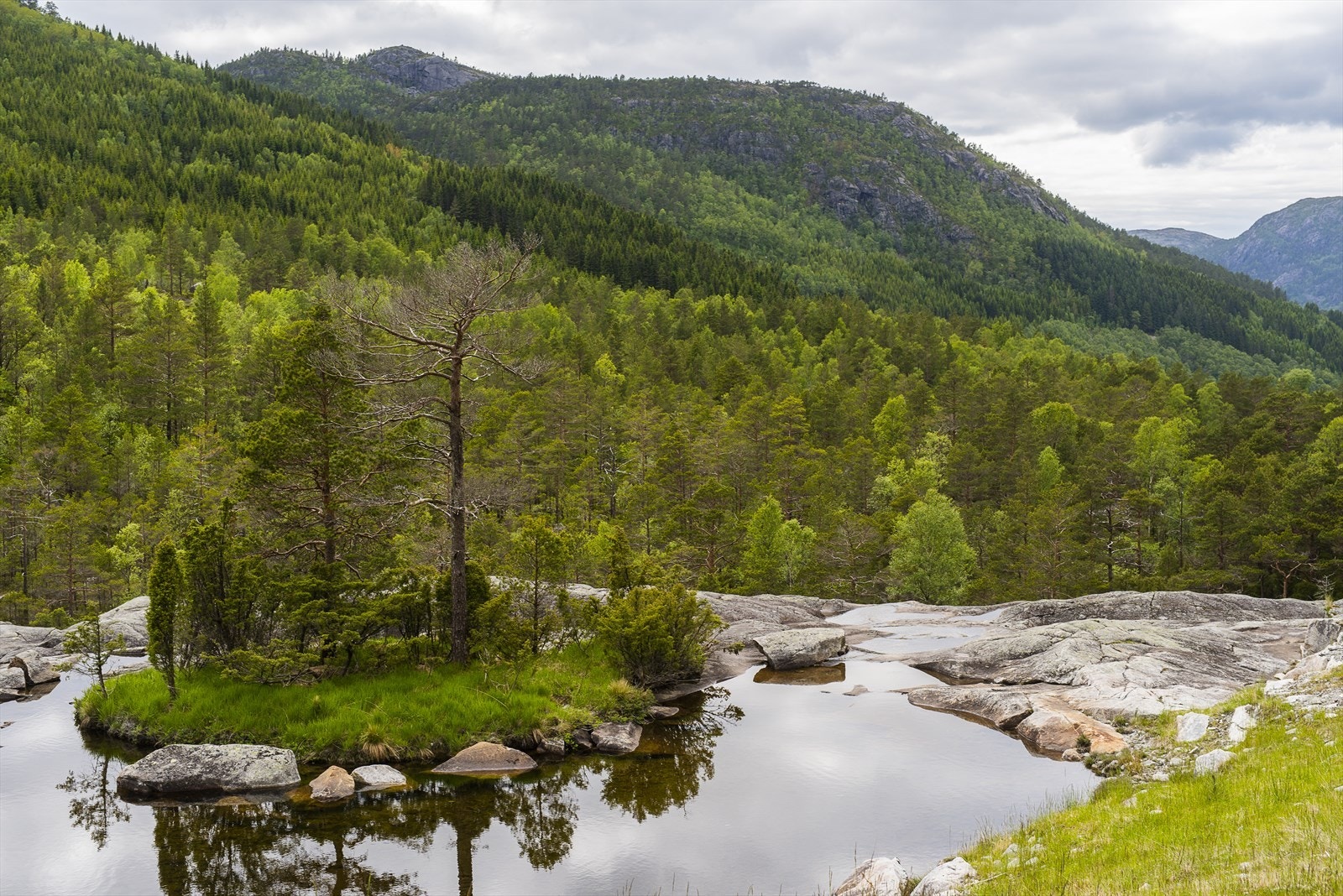 _NEG0690.jpg Galleribilde