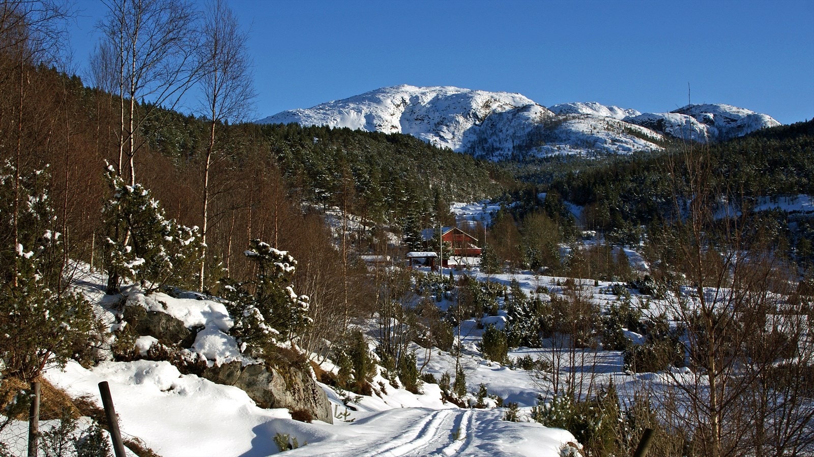 Vinterbilde fra Bjørkeligrend Galleribilde