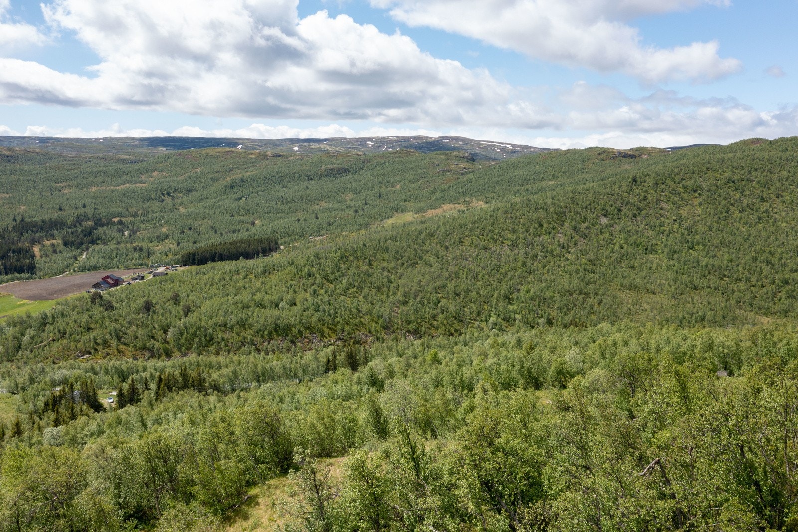 Utsikt fra tomtene Galleribilde