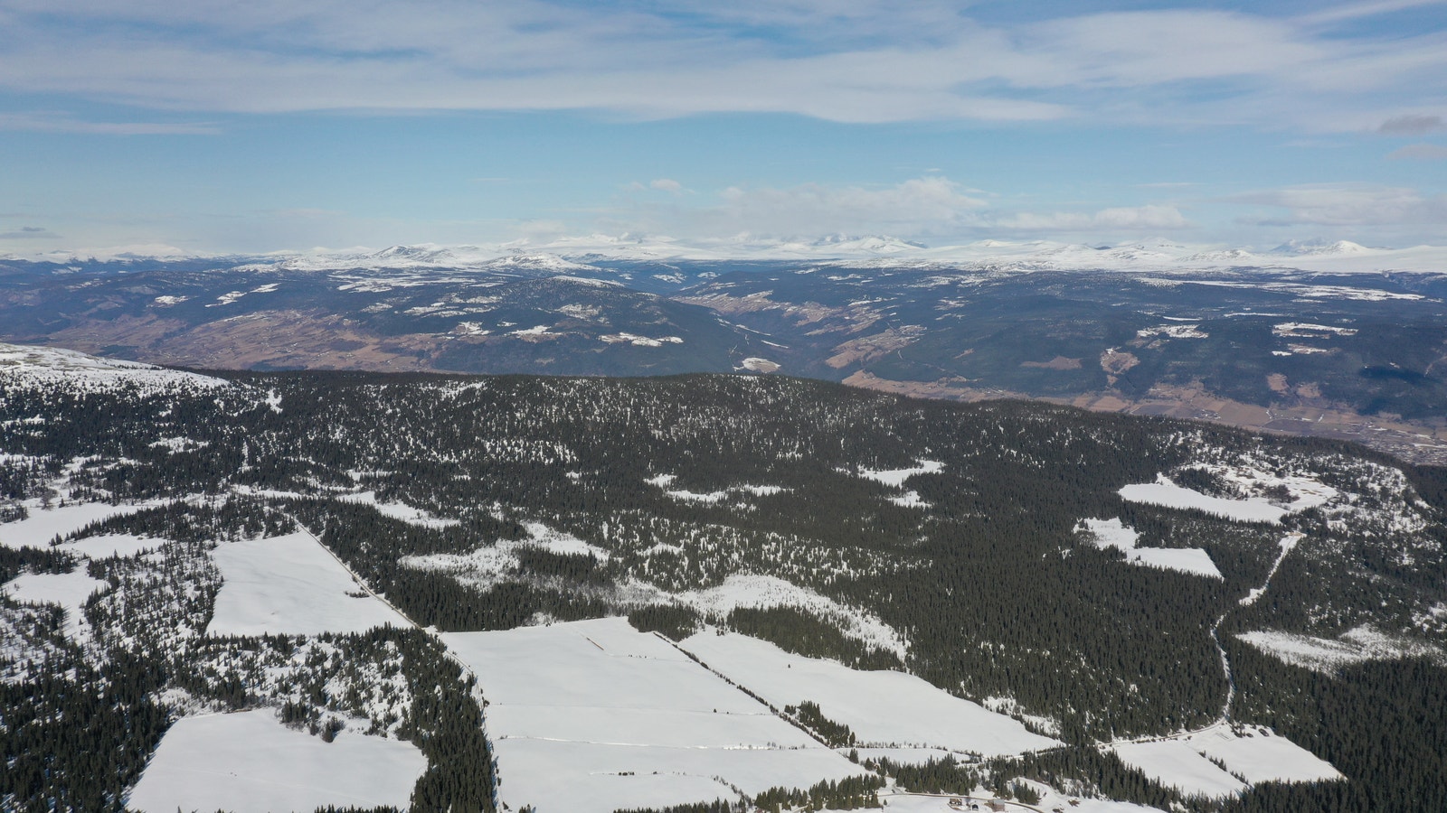 Utsikt mot Rondane Galleribilde