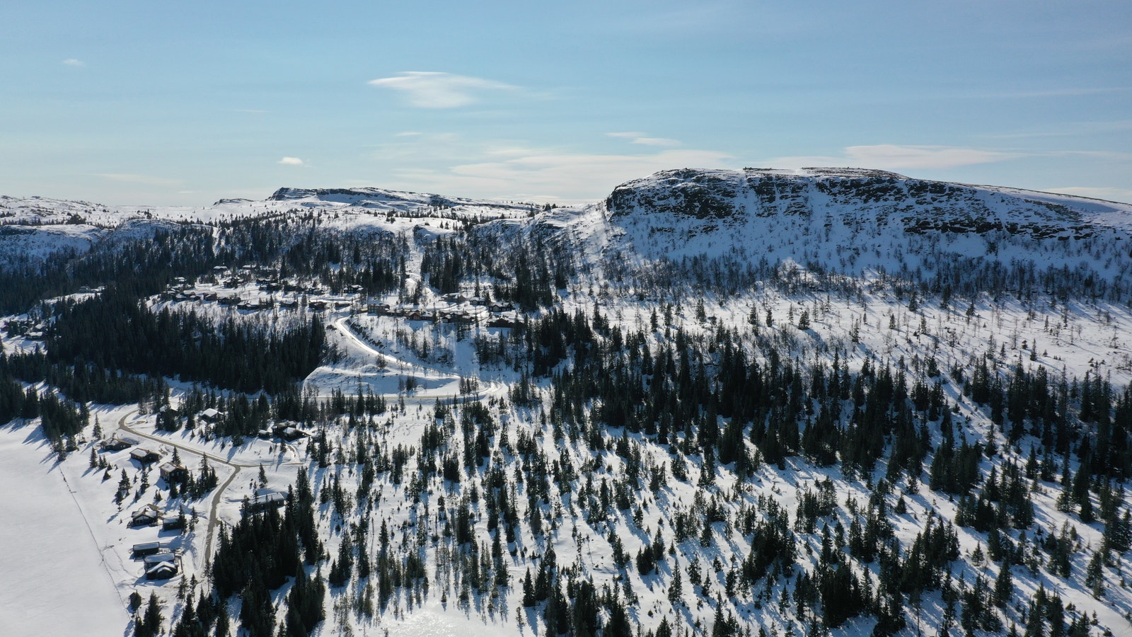 Hestknappen til høyre i bildet Galleribilde