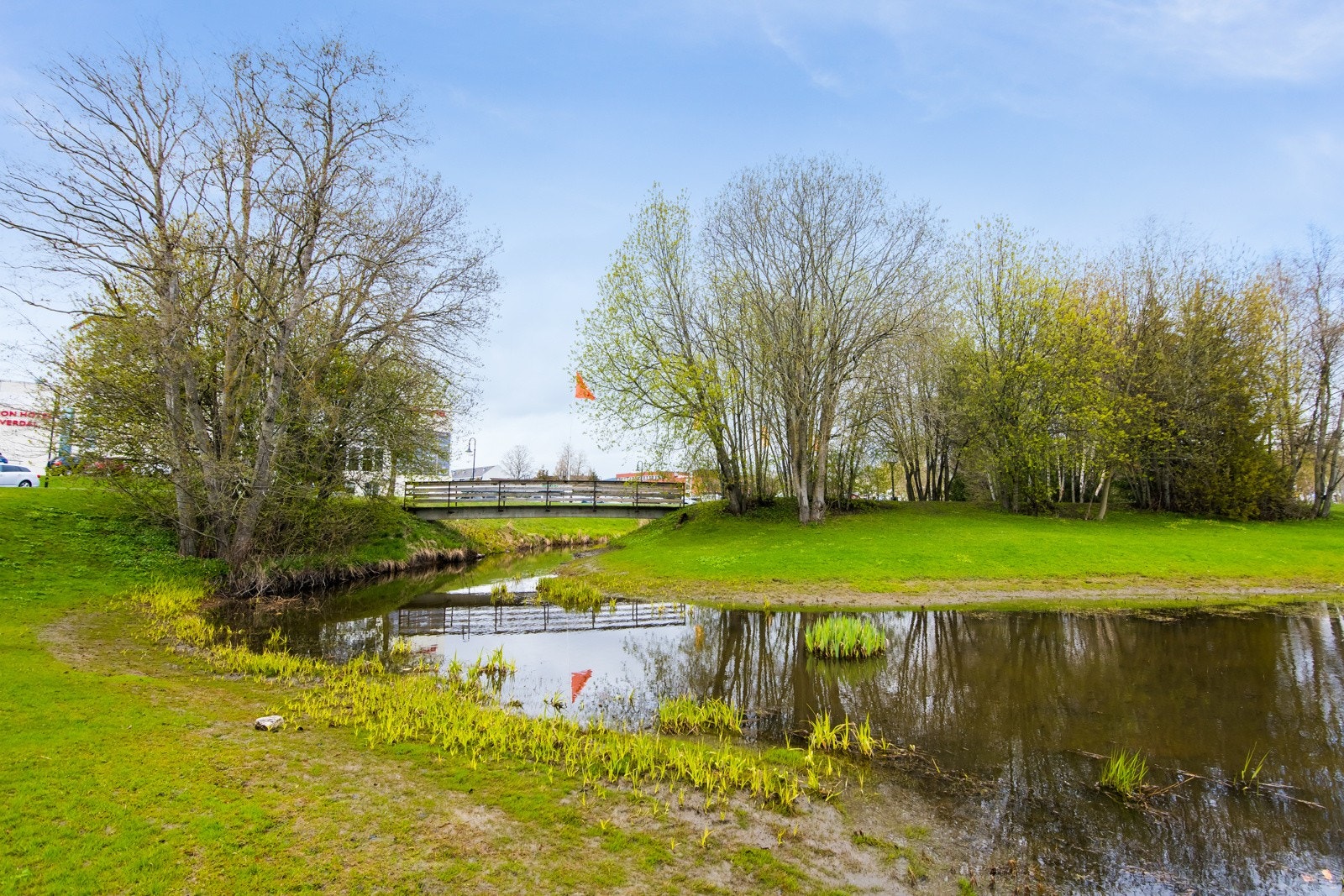 Langs parken renner det en bekk, hvor man blant annet kan mate endene Galleribilde