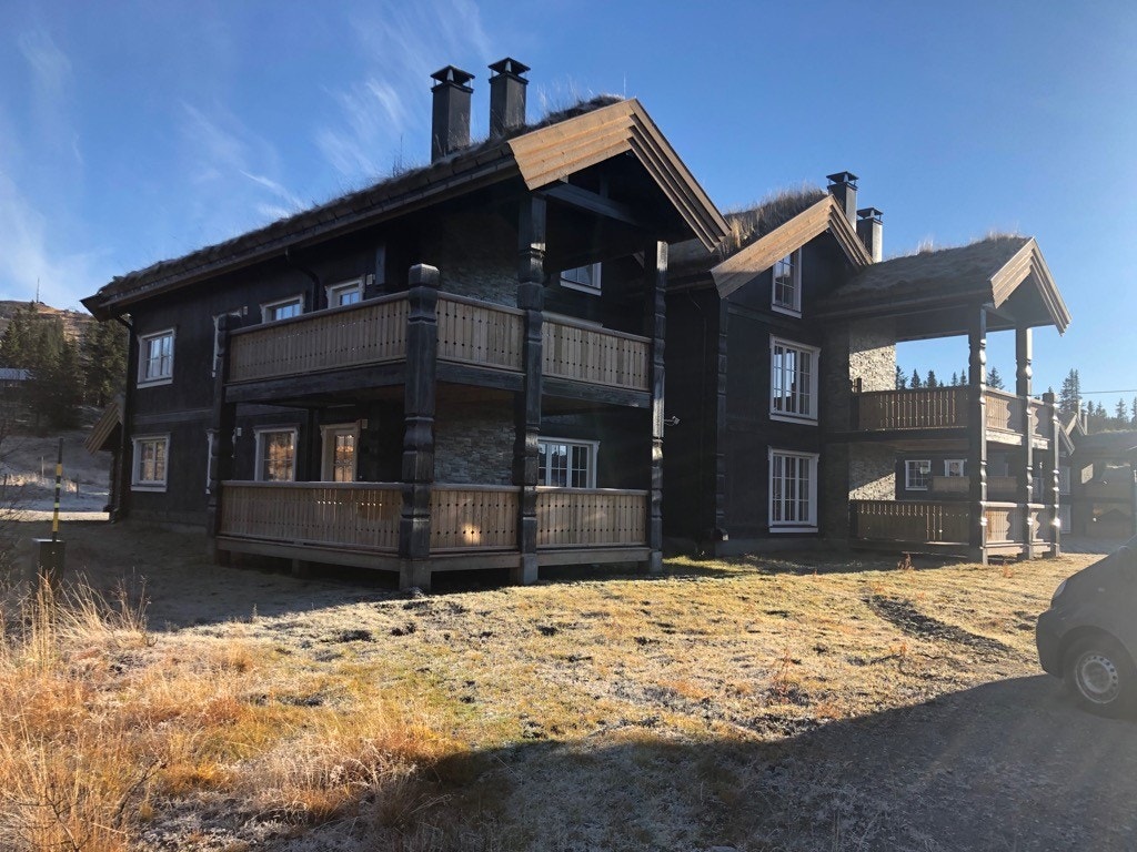 Haglebutunet Galleribilde