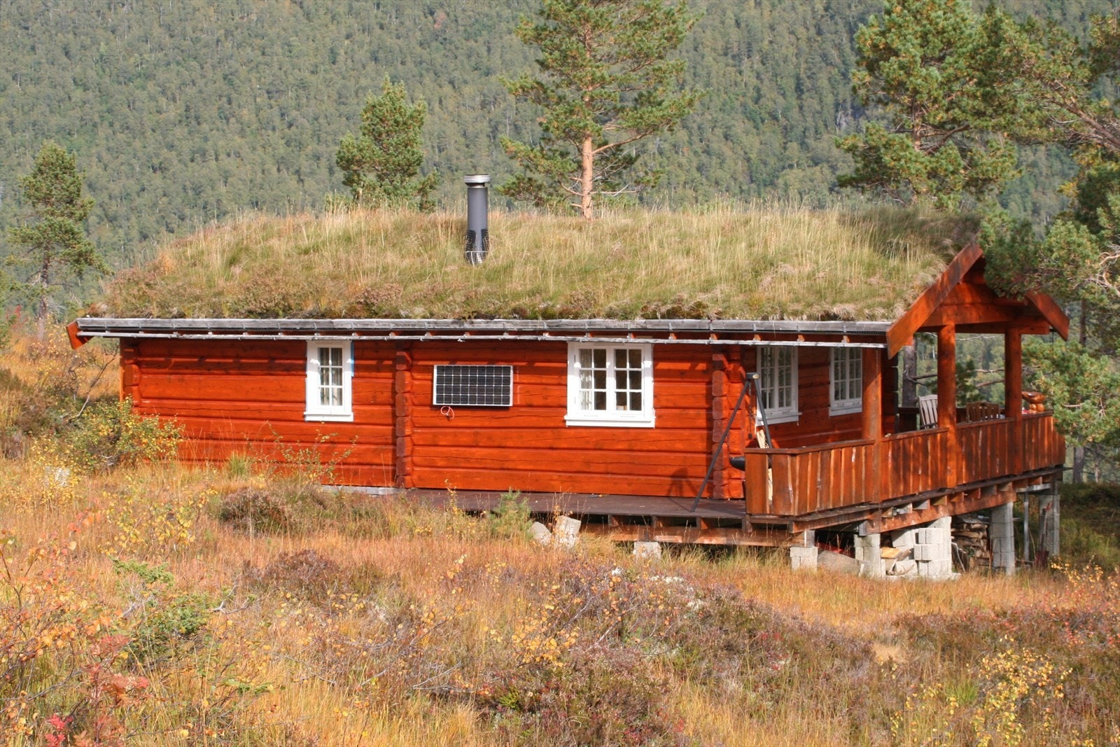 Stemningsbilde høst Galleribilde