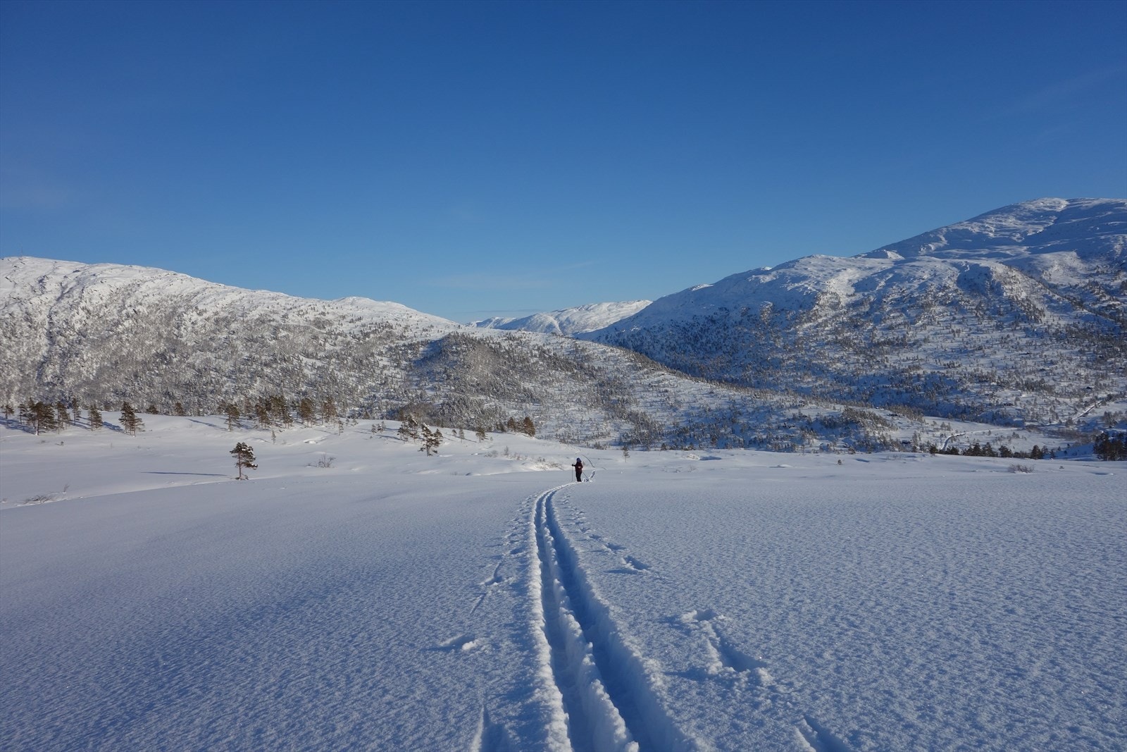 Stemningsbilde vinter Galleribilde