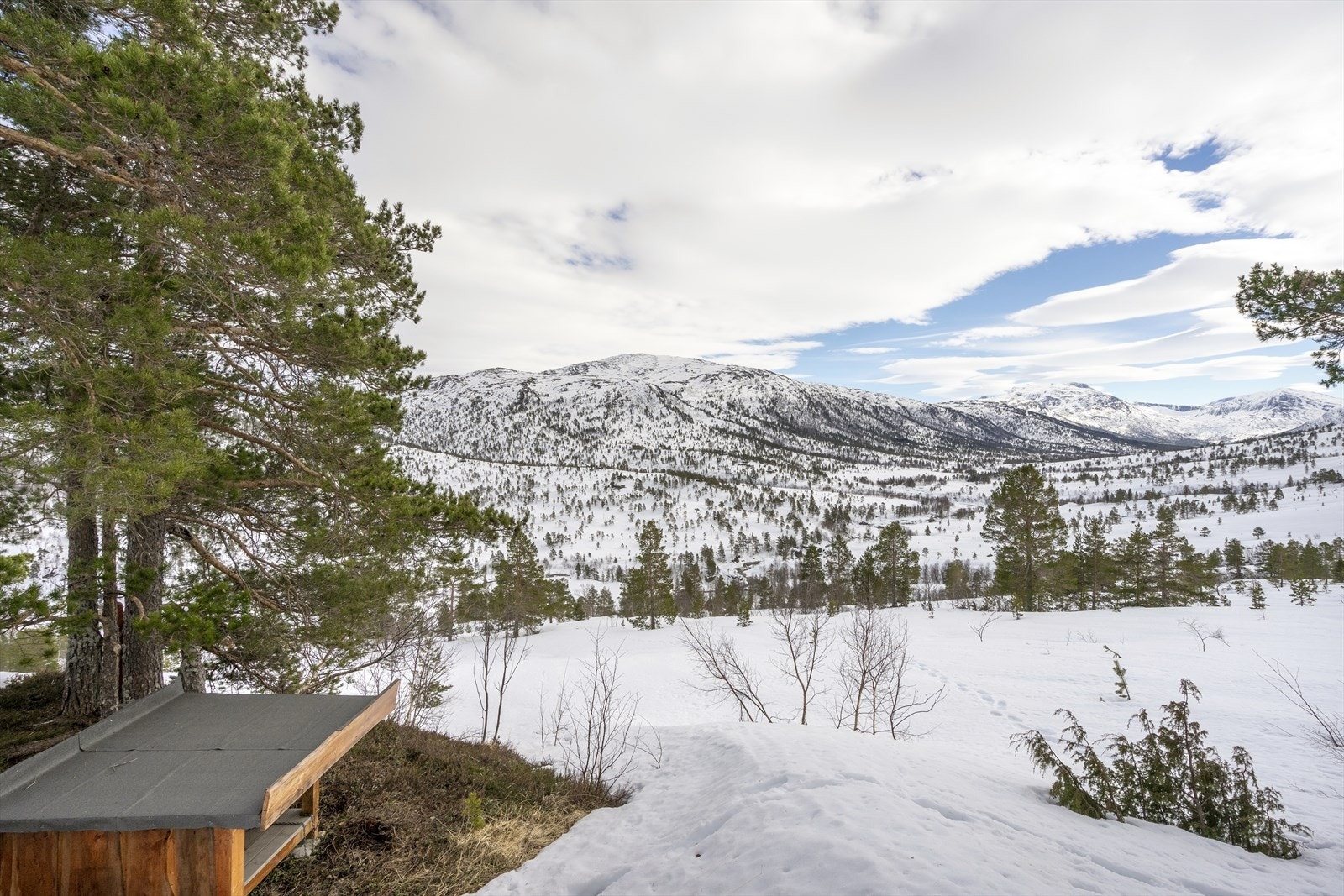 Utsikt ut over vakre Vinddøladalen Galleribilde