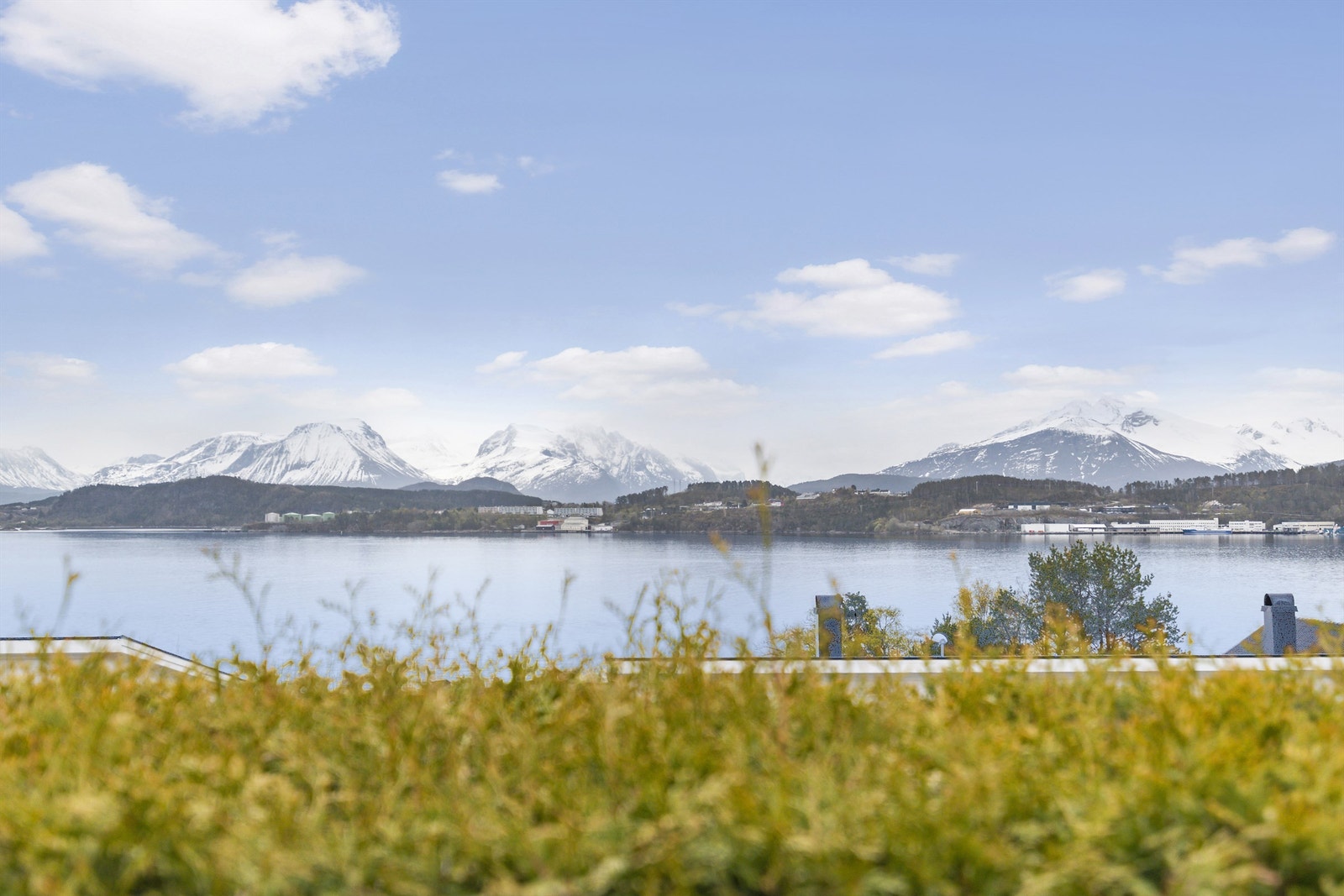 Utsikt fra hagen mot Ellingsøyfjorden og Sunnmørsalpane Galleribilde