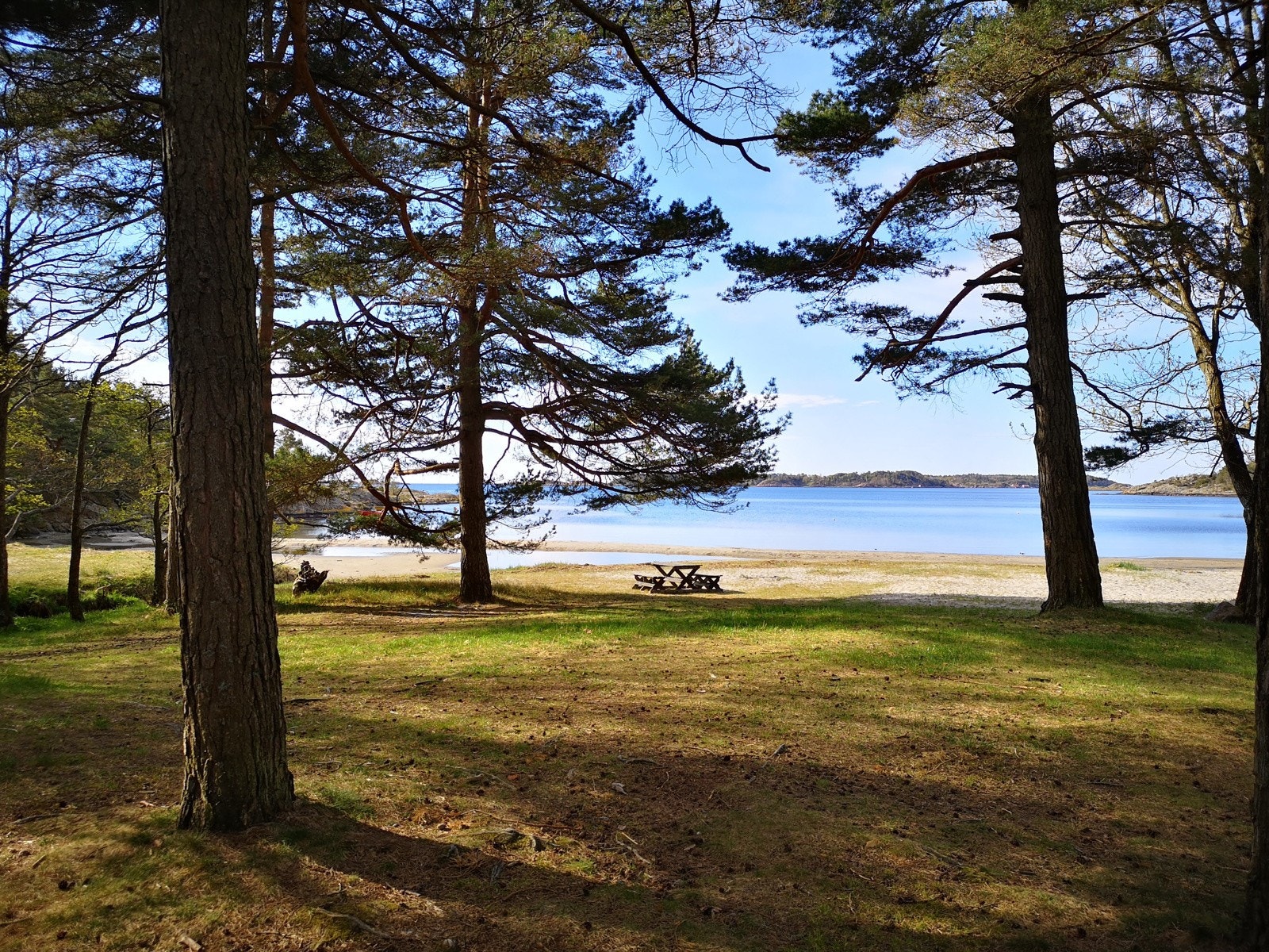 Man kan gå fra boligen til Grefstadvika for en morgen dukkert Galleribilde