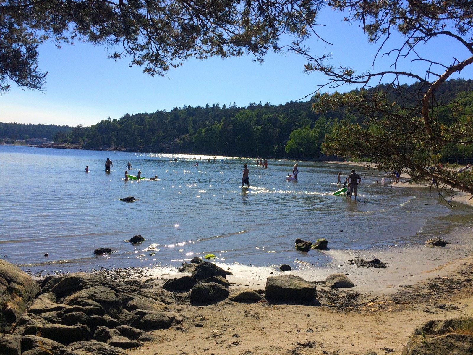 Sommerstemmning i Grefstadvika Galleribilde