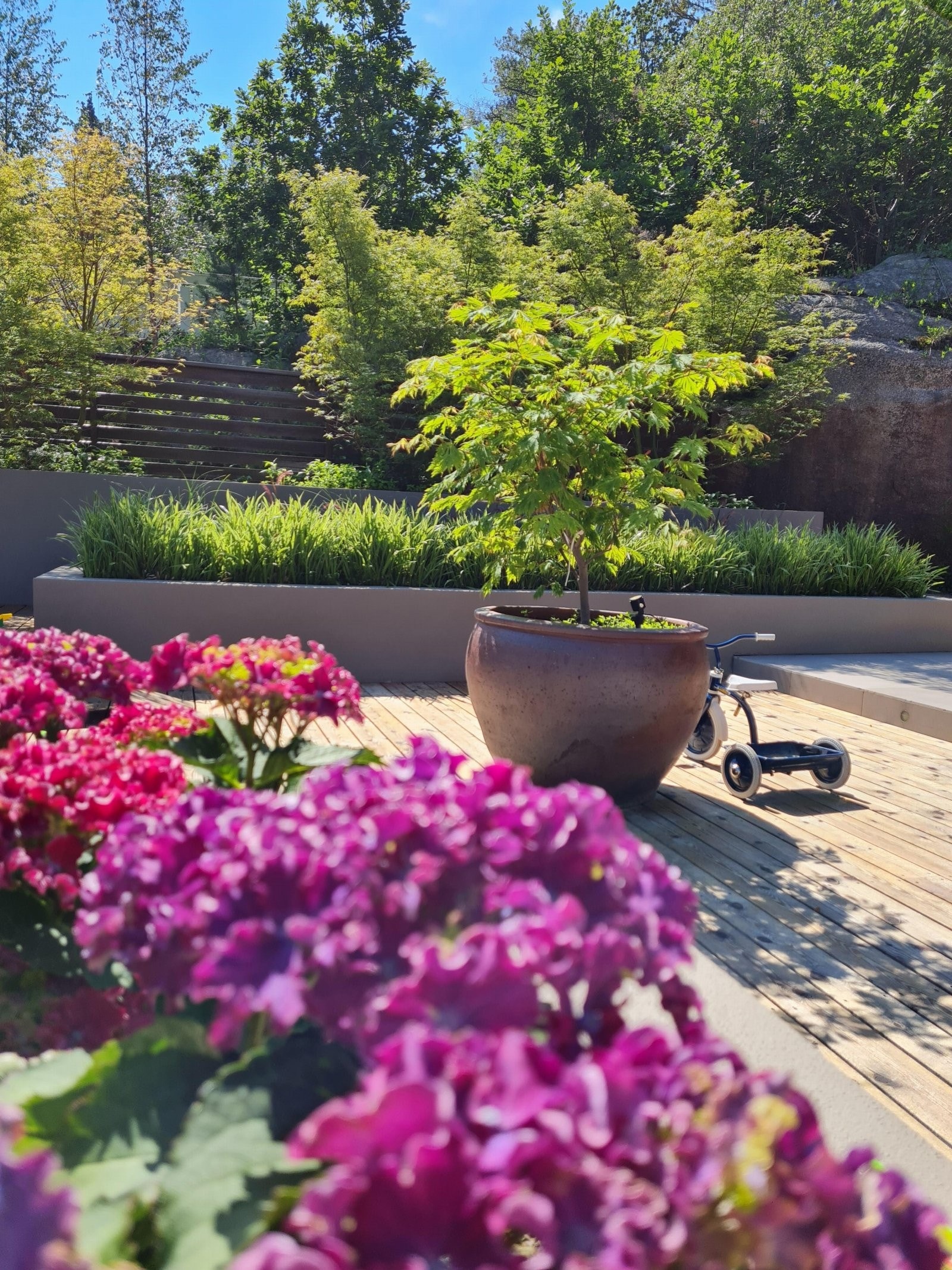 Pent opparbeidet hage med blomstende busker Galleribilde