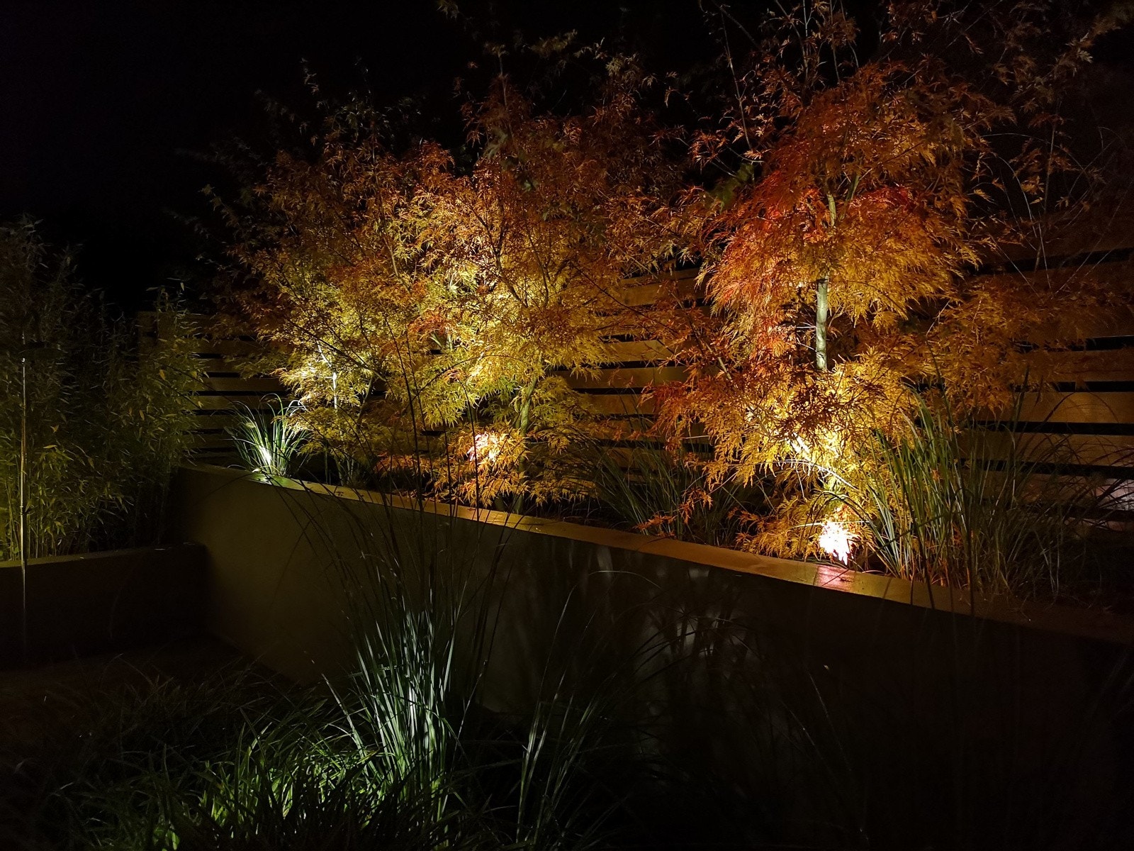 Hagebelysning gir fin kveldsstemning i hagen Galleribilde