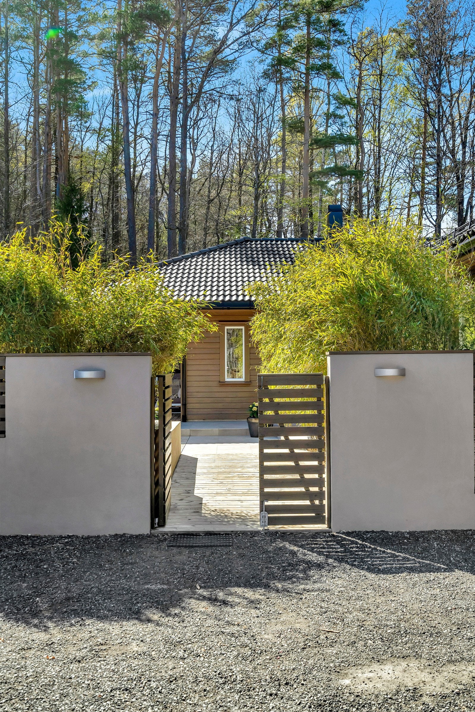 Tre inn i en deilig, usjenert oase Galleribilde