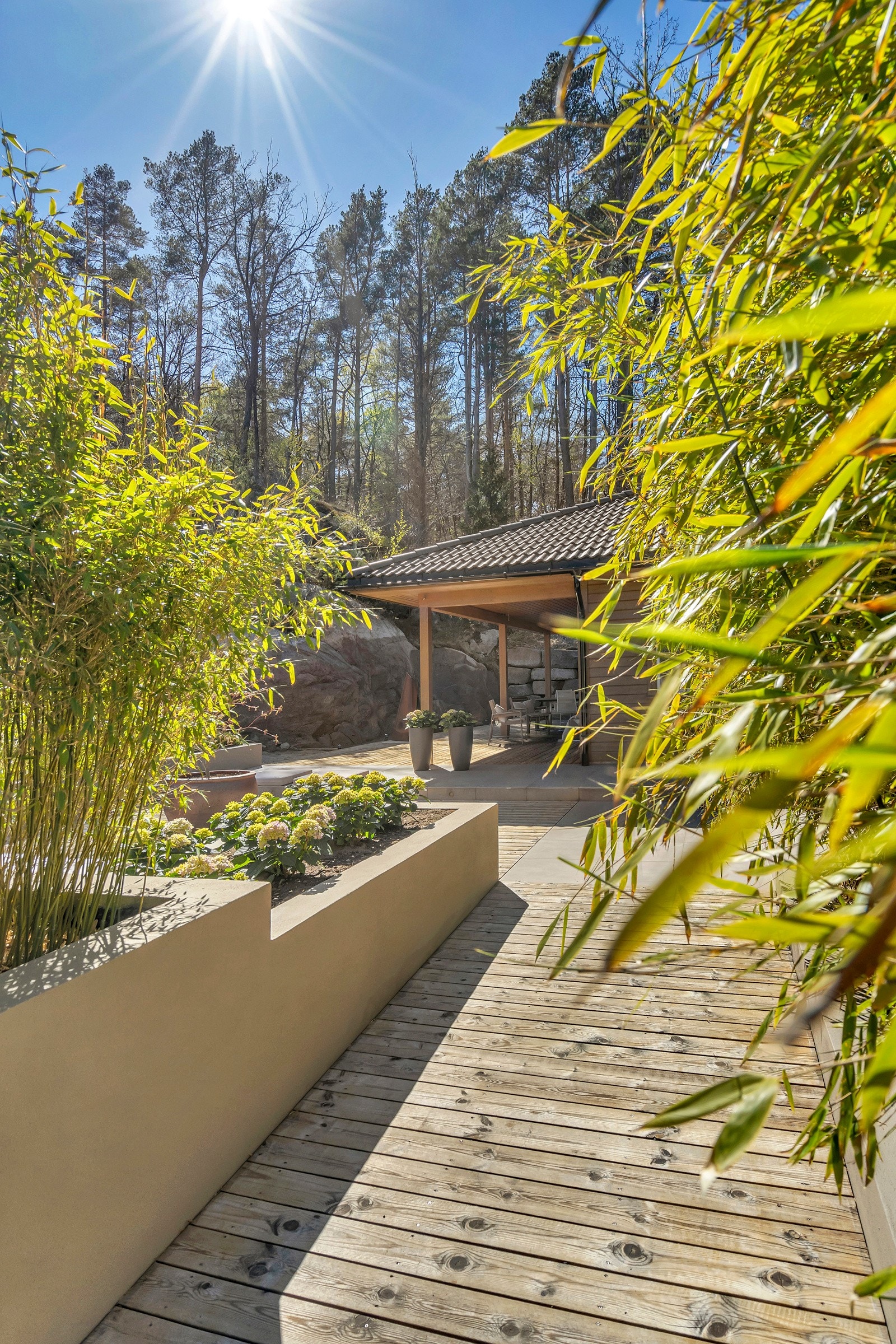 Inngangspartiet med store bambusplanter i oppmurte plantekasser Galleribilde