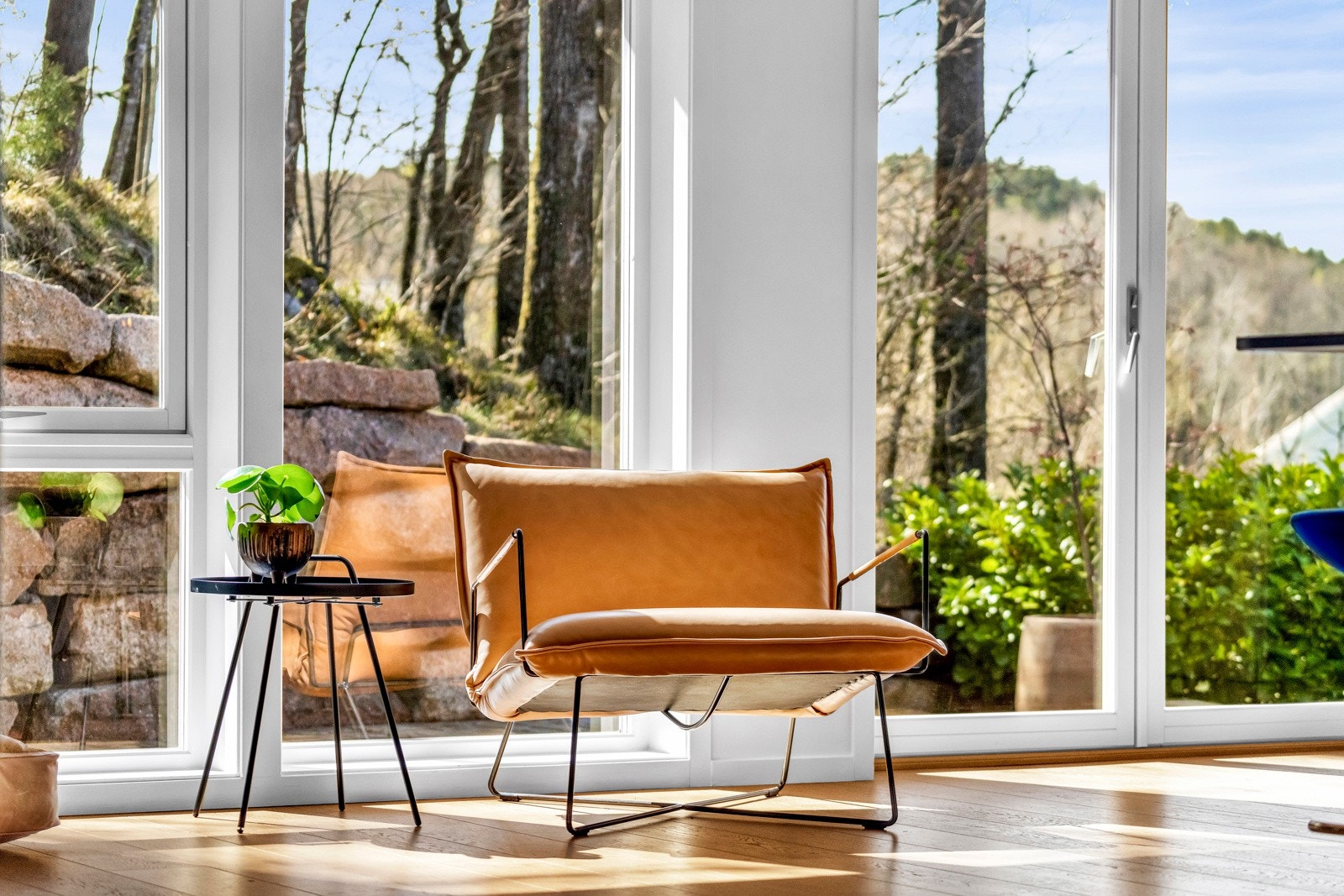 Panorama stuevinduer fra gulv til tak gir stuen mye lysinnslipp Galleribilde