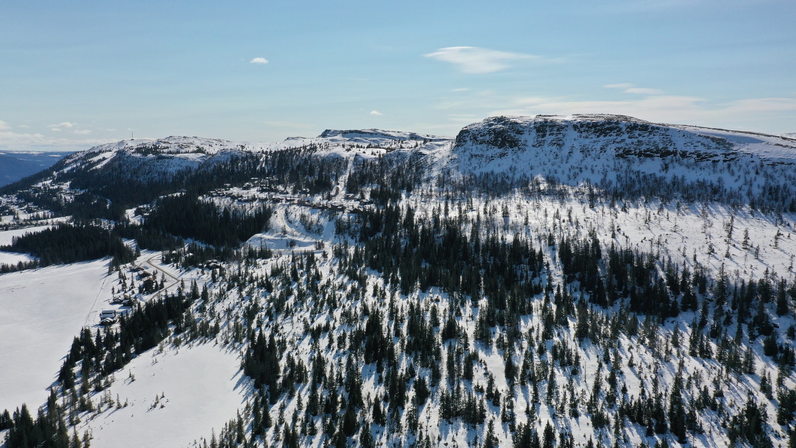 Hestknappen 2 vår 2022 Galleribilde