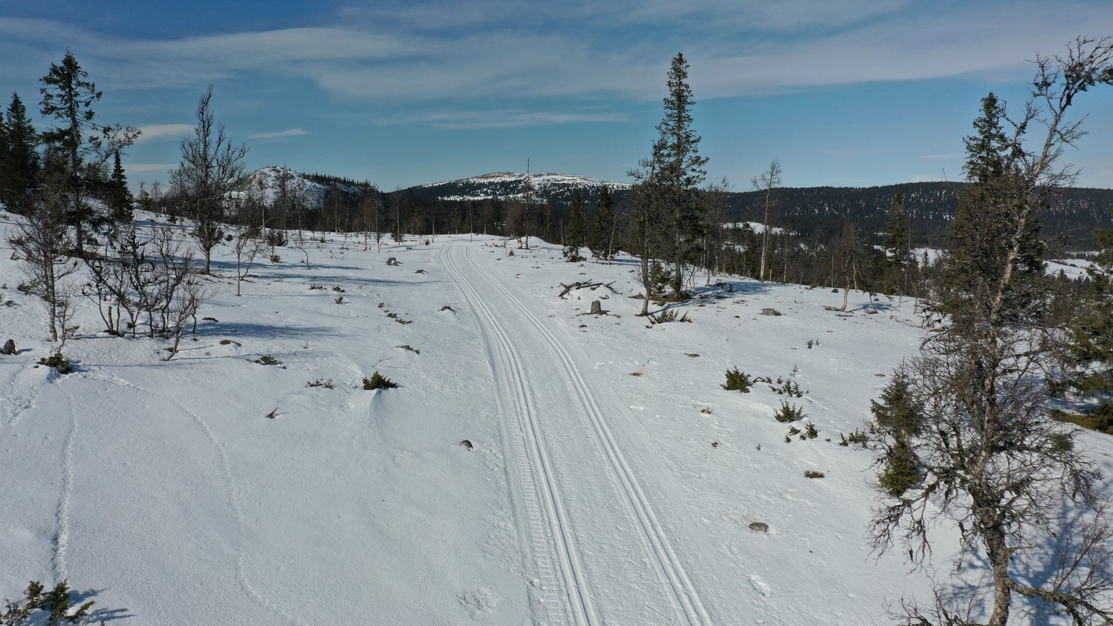 Hestknappen 2 vår 2022 Galleribilde