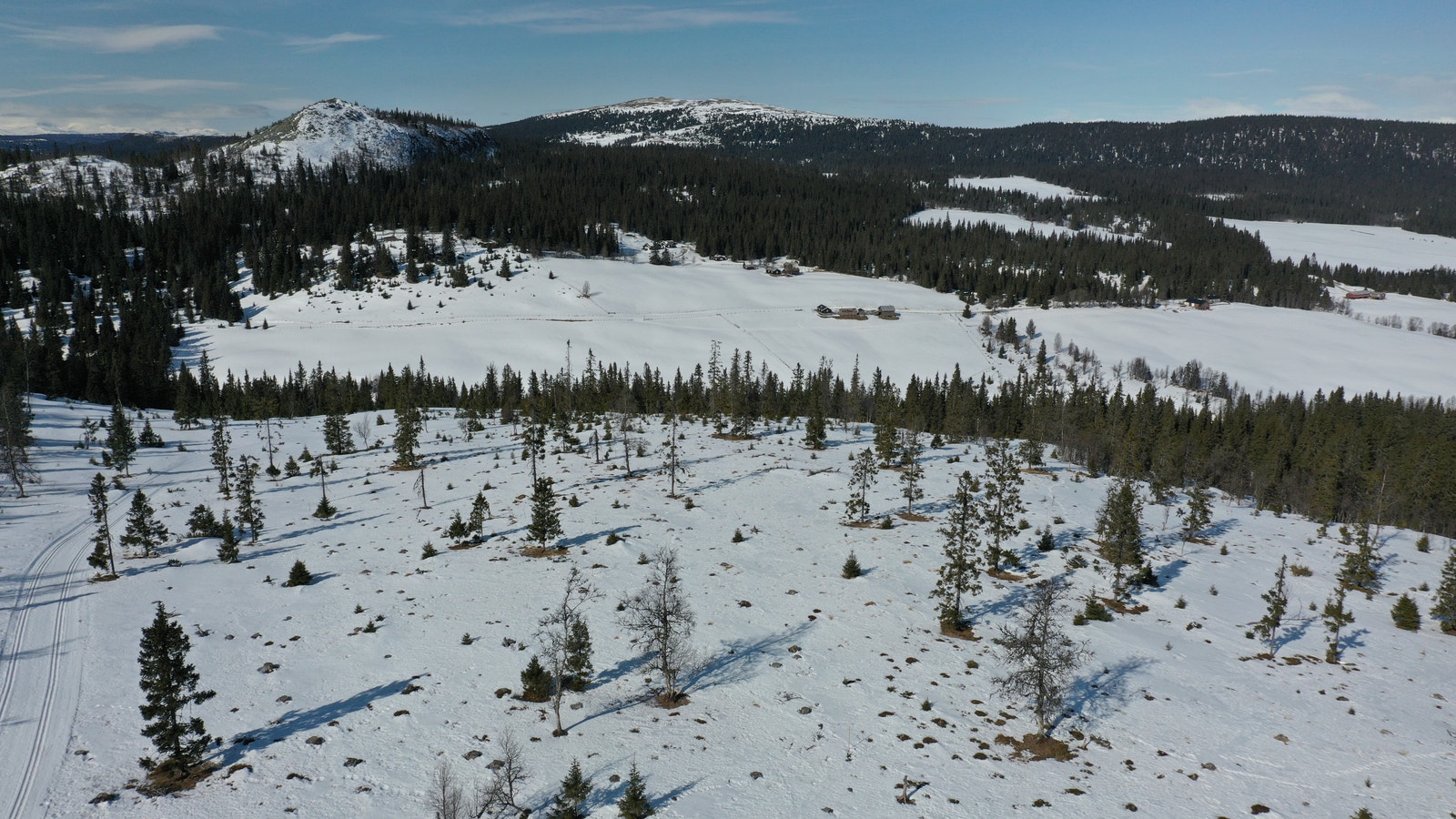 Hestknappen 2 vår 2022 Galleribilde